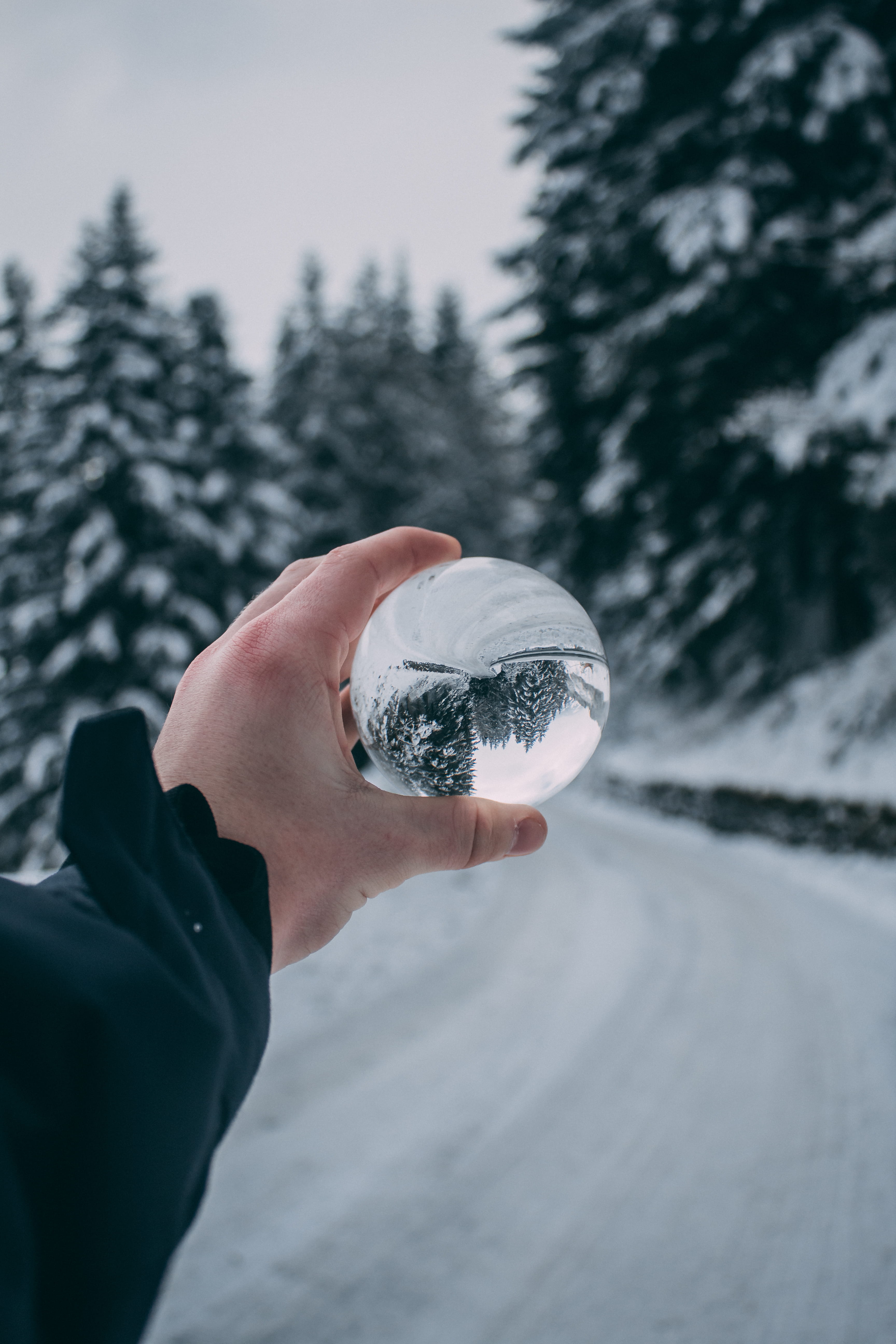cliff, sphere, person, 5K, fir, hand, canon, day, ice, schnee, human, mountain, crystal ball, outdoors, abies, plant, frozen, street, finger, nature, clear, Phone HD Wallpaper