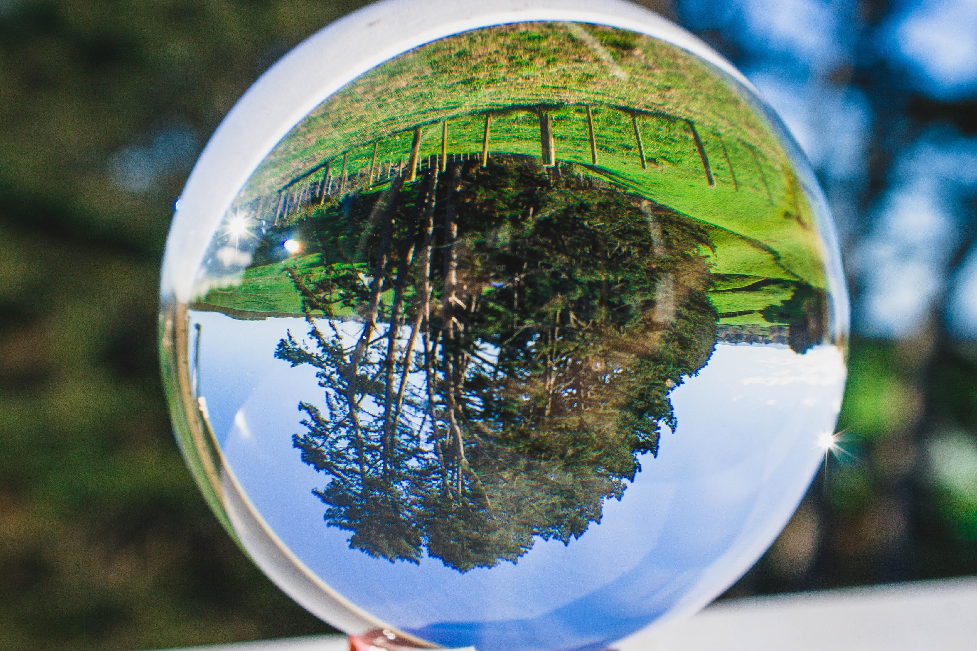 tree, selective focus, scenic, sphere, rural, shape, plant, farm, country, no people, countryside, ball, glass - material, nature, 2K, landscape, outdoors, HD Wallpaper