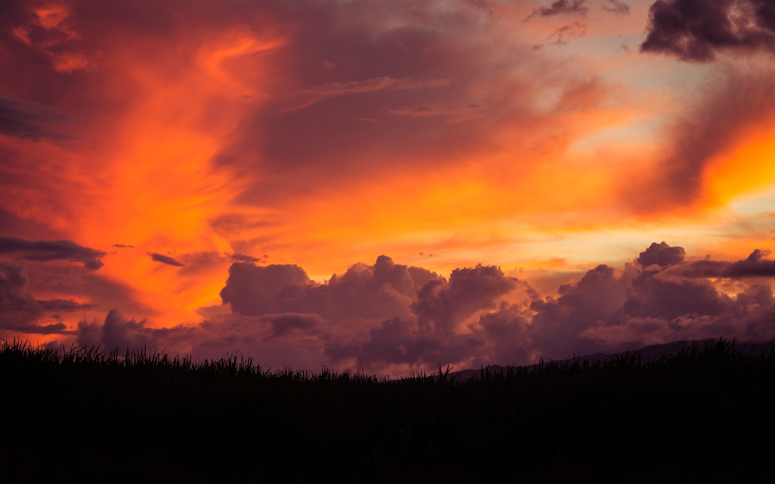 sunset, landscape, Maui, 1080P, HD Wallpaper