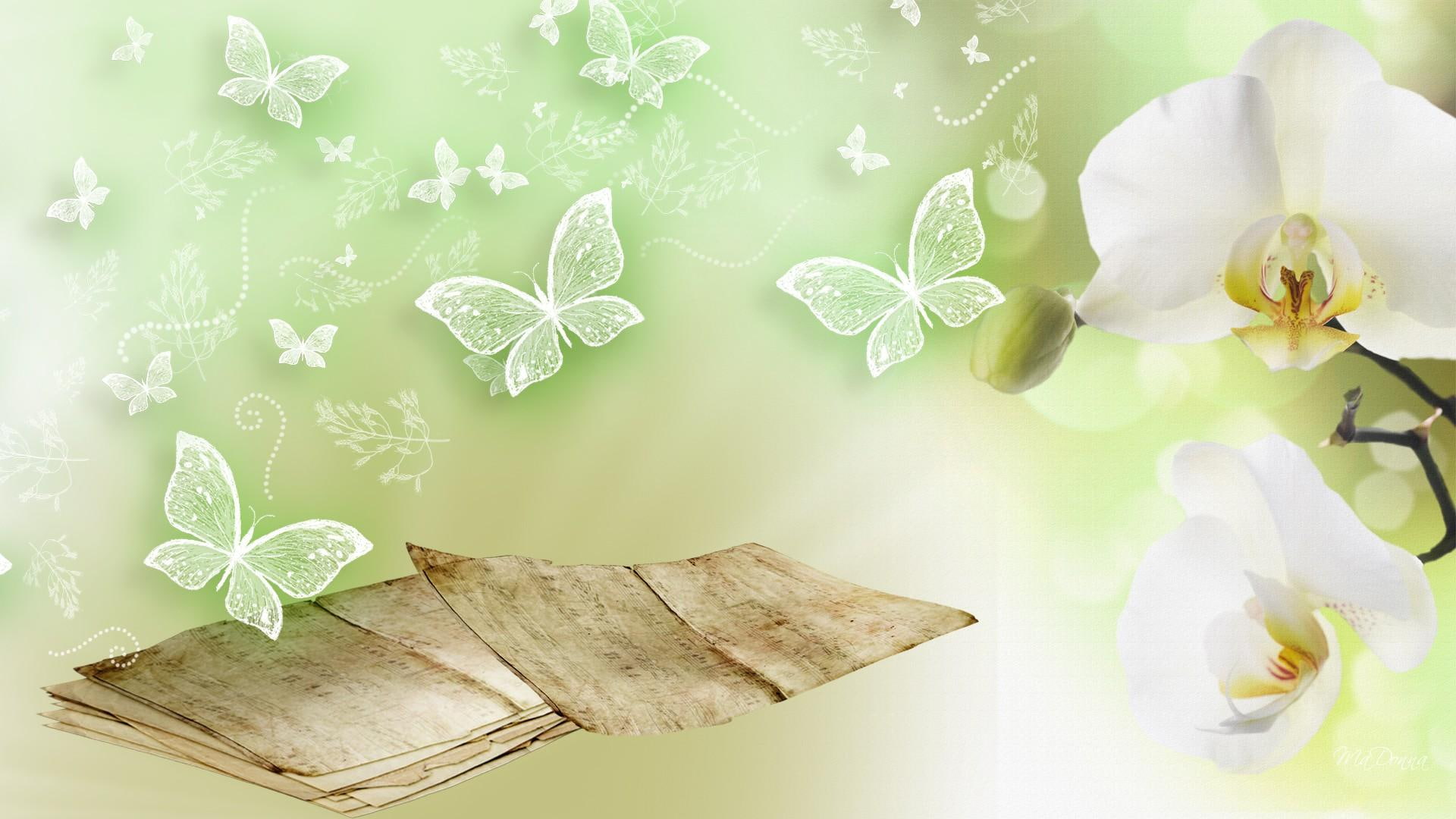 music, orchid, green, delicate, 3d and abstract, 1080P, sheet music, orchids, exotic, butterflies, firefox persona, HD Wallpaper