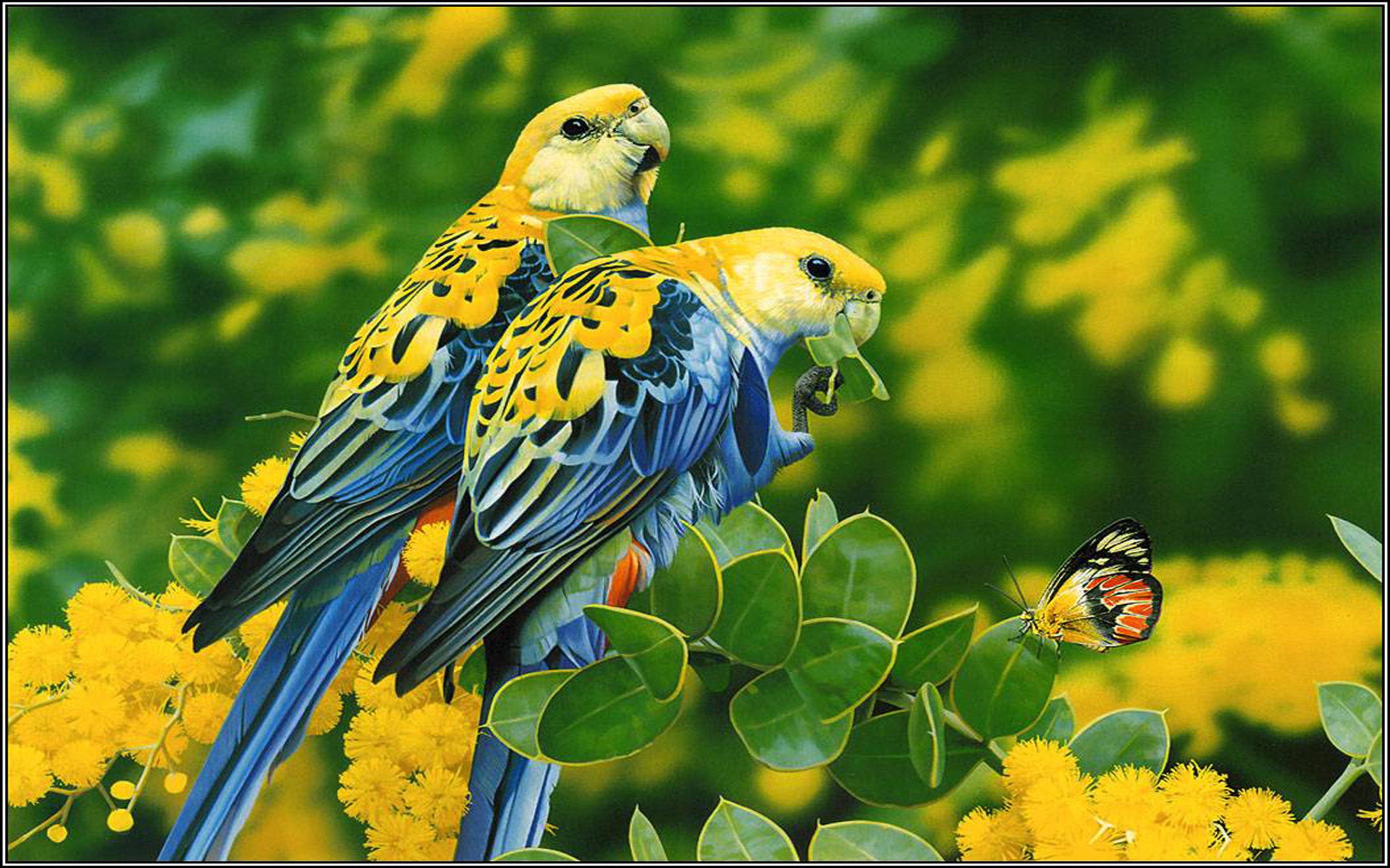 birds, parrots, hd, tree, flowers, 2K, desktop, butterfly, beautiful, blue, leaves, green, yellow, HD Wallpaper