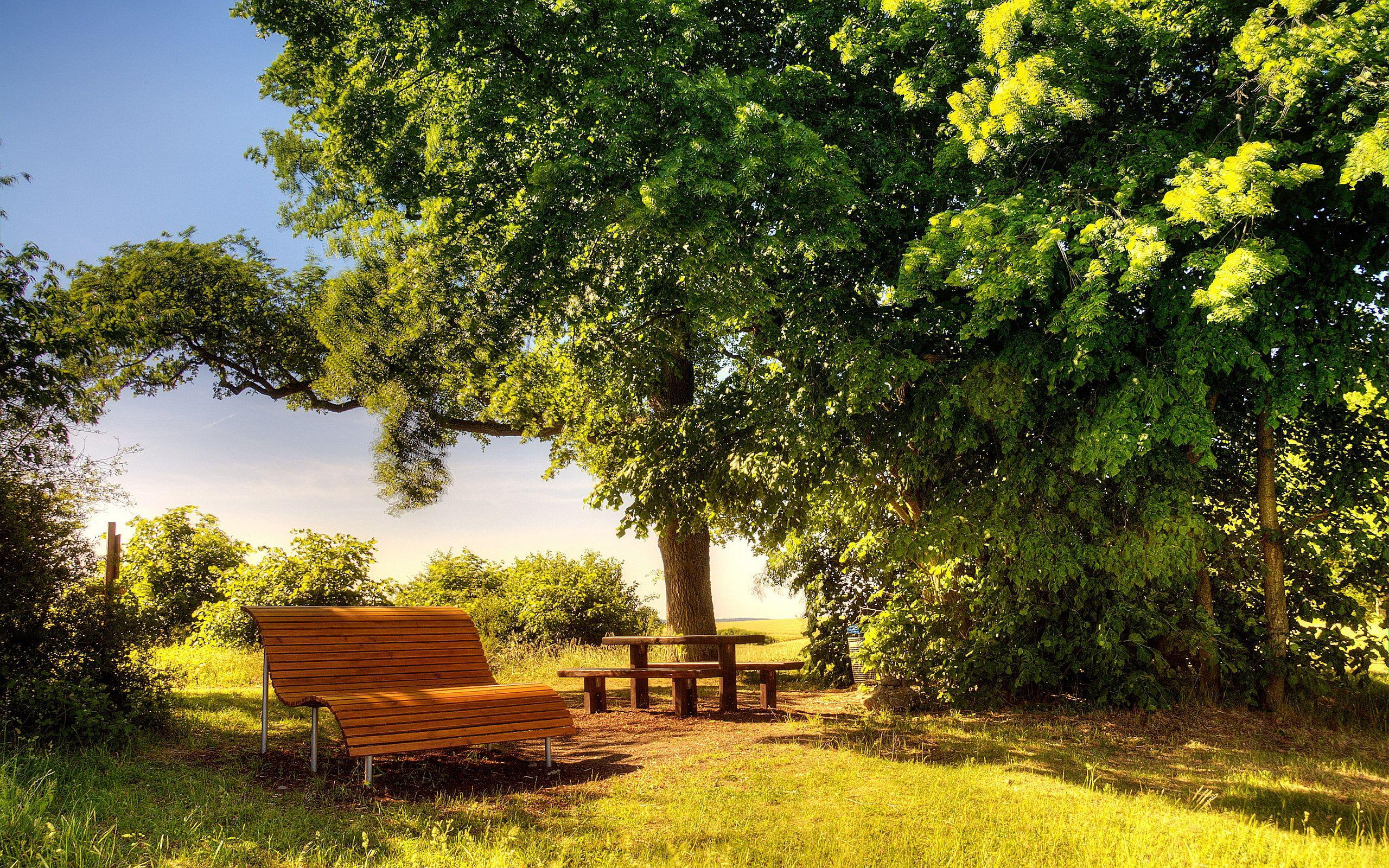 bench, nature, landscape, day, 2K, sunny, HD Wallpaper