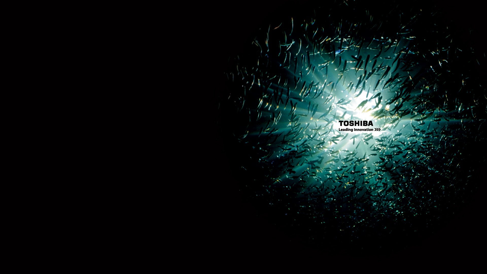toshiba, computer, 1080P, HD Wallpaper