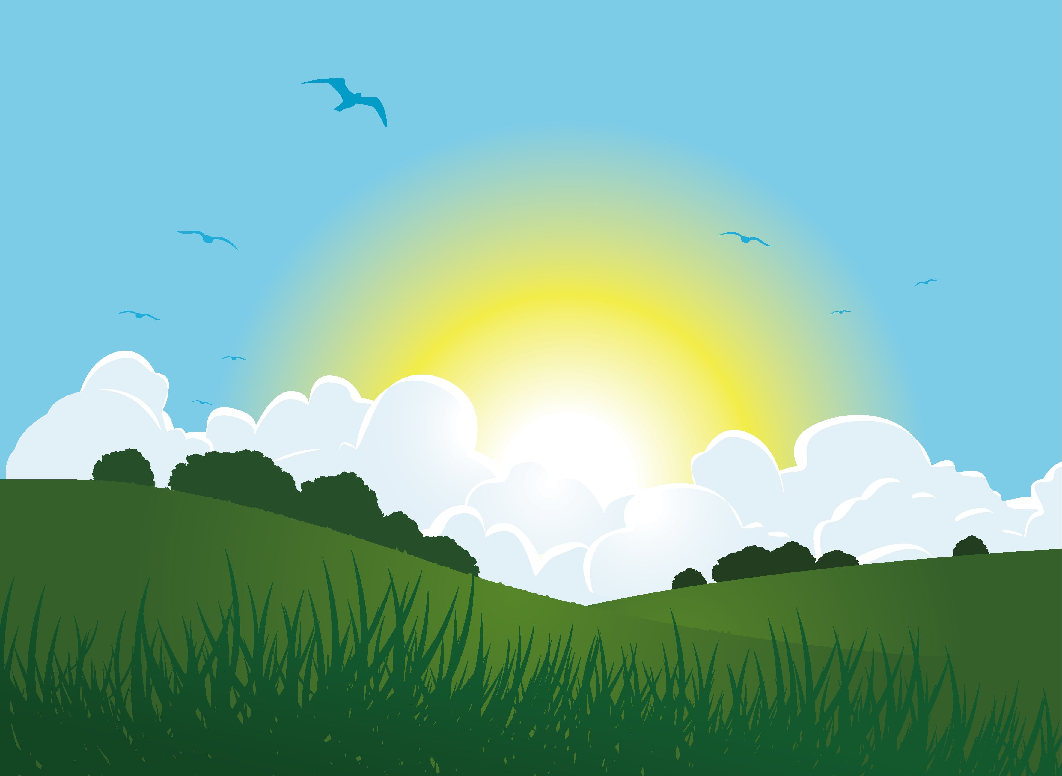 grass, clear sky, bright, flying, vertebrate, beauty in nature, nature, 2K, birds, outdoors, flock of birds, clouds, vector art, tranquility, group of animals, HD Wallpaper