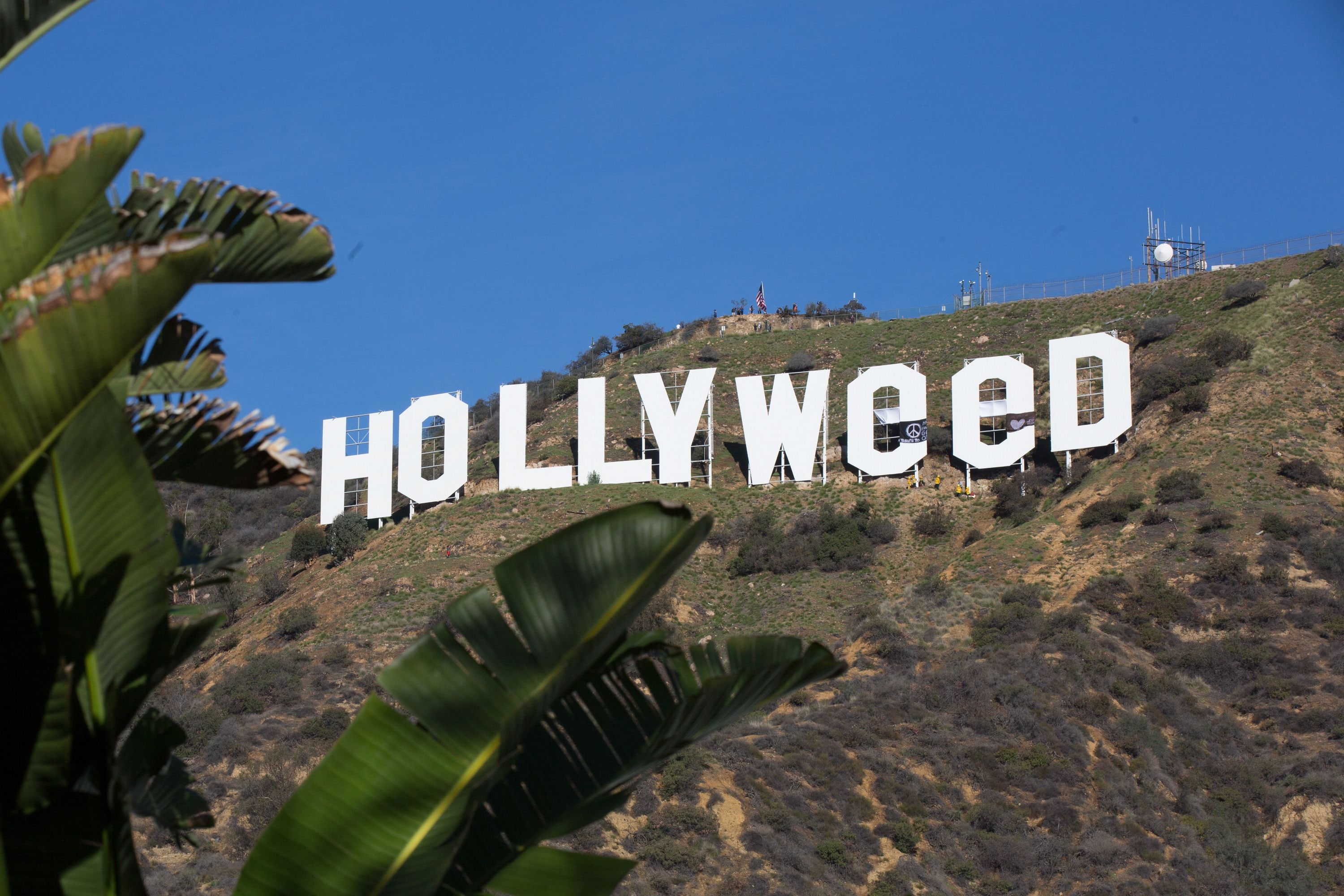 marijuana, 420, weed, 2K, cannabis, HD Wallpaper