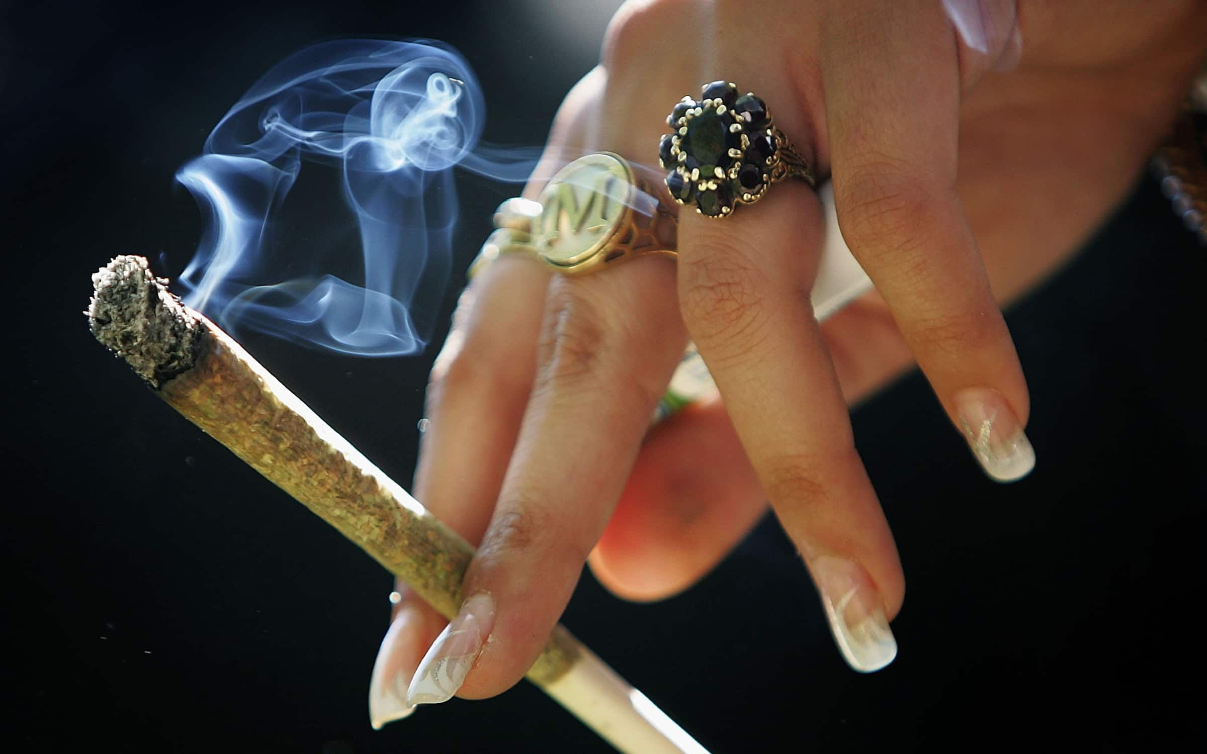 1080P, cannabis, marijuana, 420, weed, HD Wallpaper