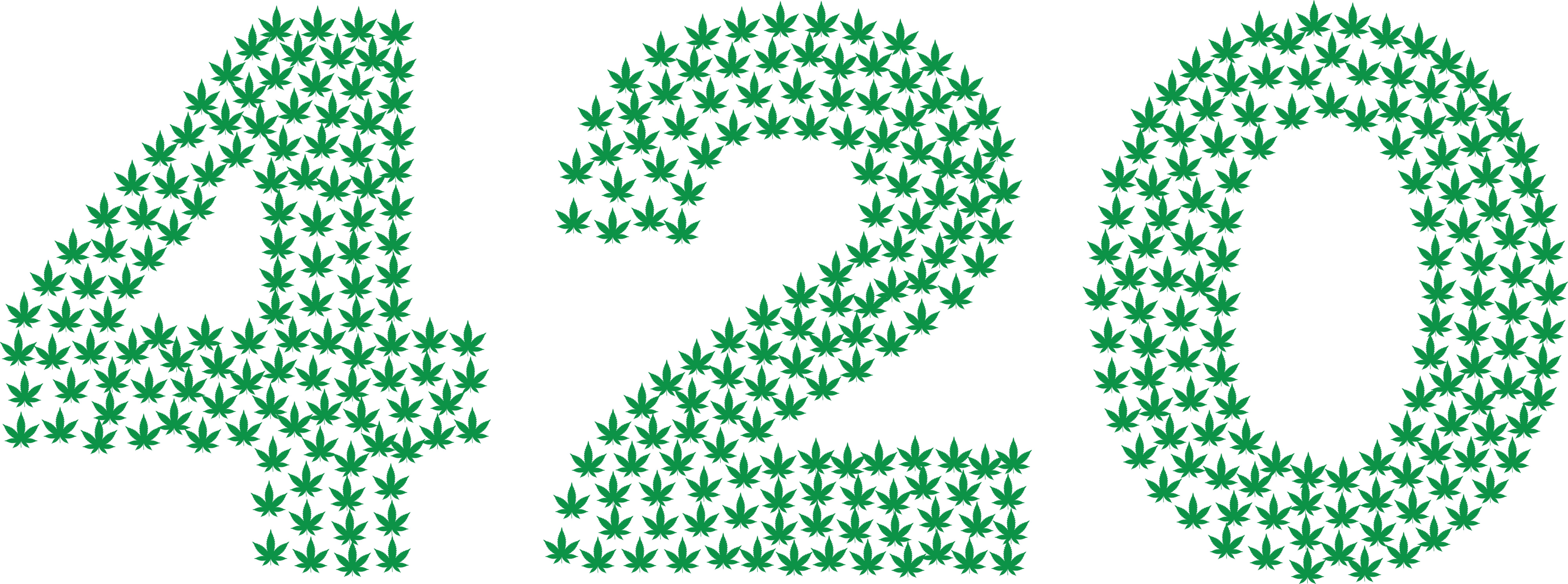 8K, weed, cannabis, marijuana, 420, HD Wallpaper
