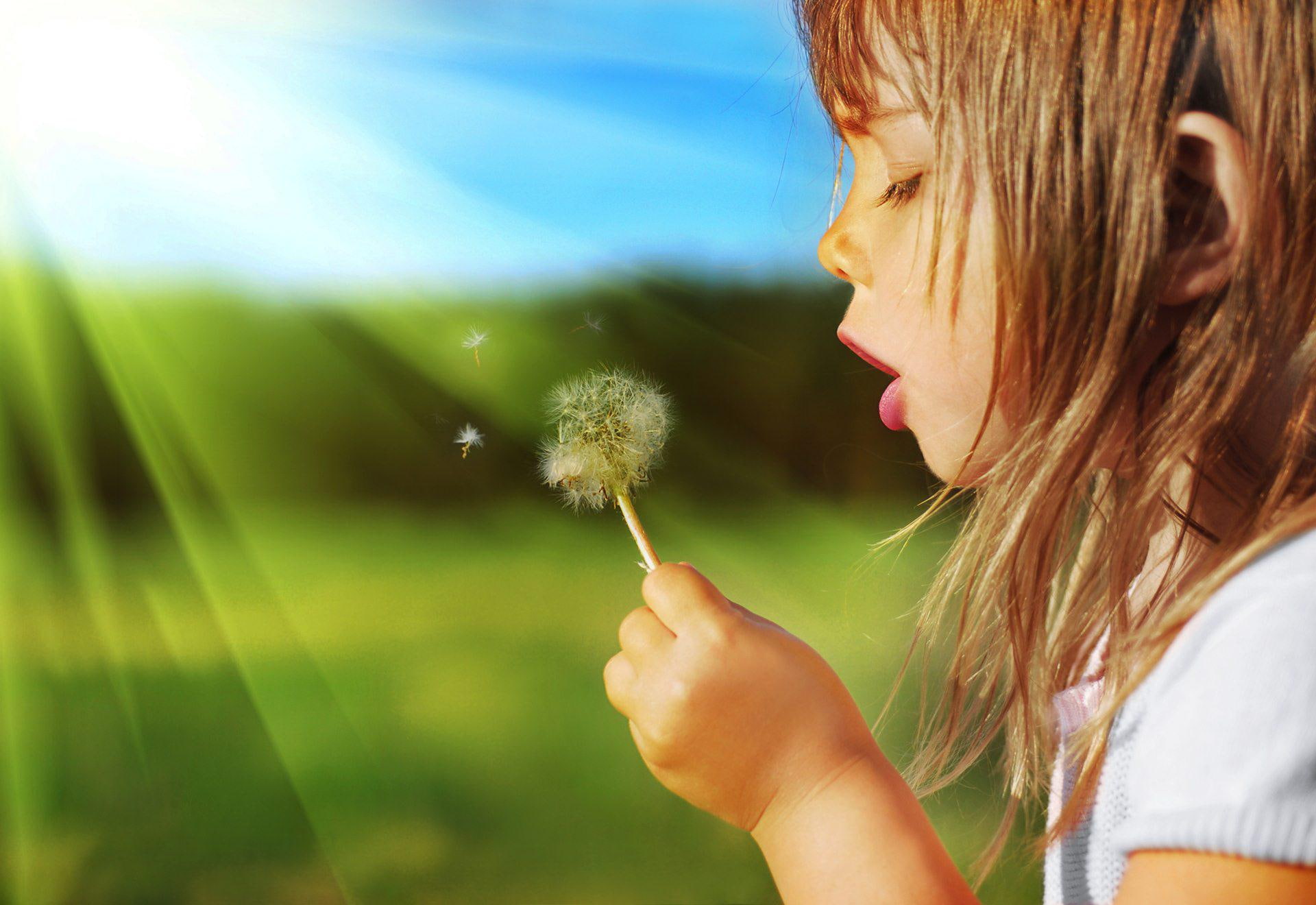 sweet, girl, dandelion plant, plant, child, dandelion, child girl, 1080P, blowing, 1920x1320, HD Wallpaper