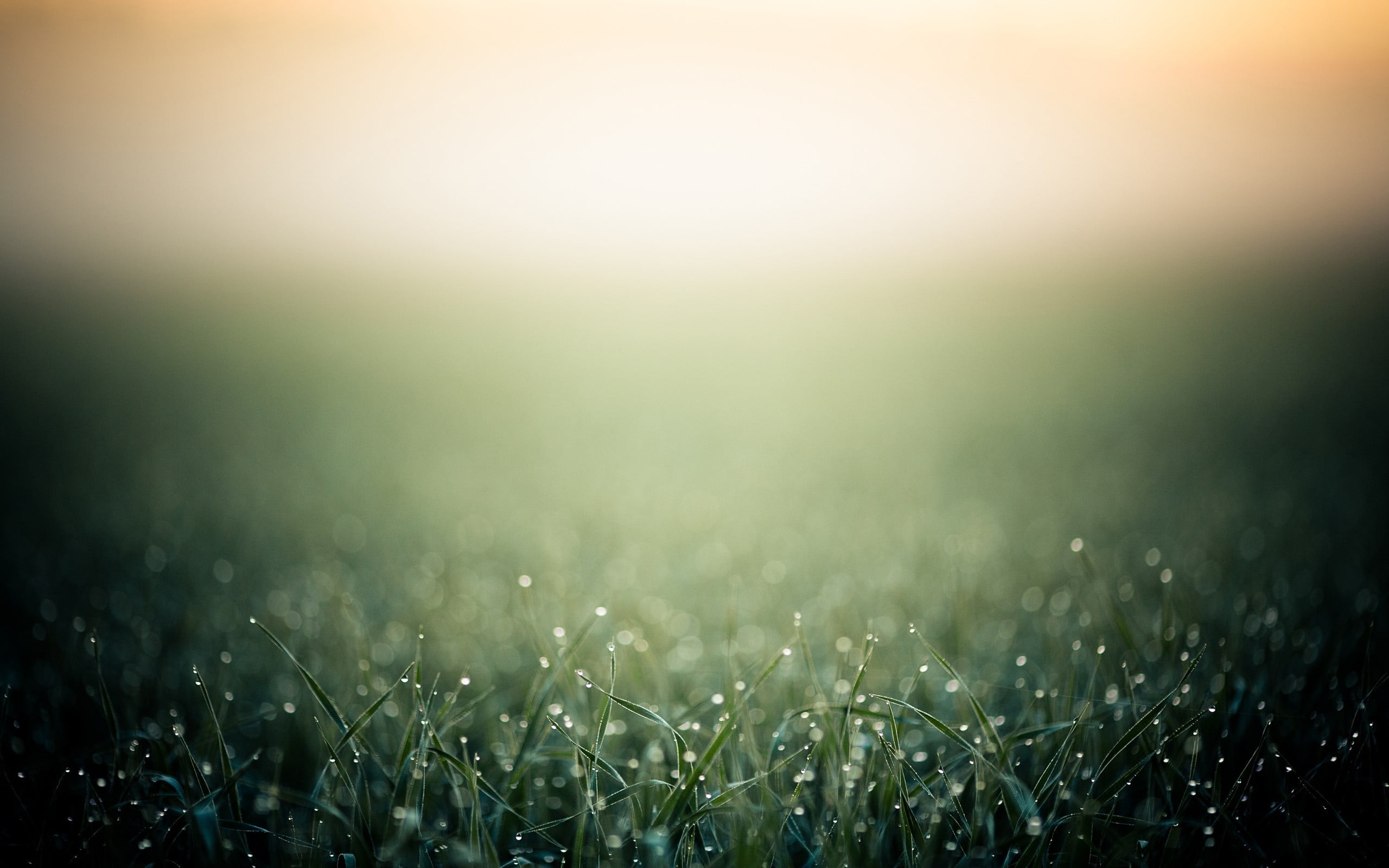 springtime, sky, green, land, tranquility, photo manipulation, defocused, freshness, tranquil scene, bright, meadow, grass, plant, outdoors, 2K, color Image, HD Wallpaper