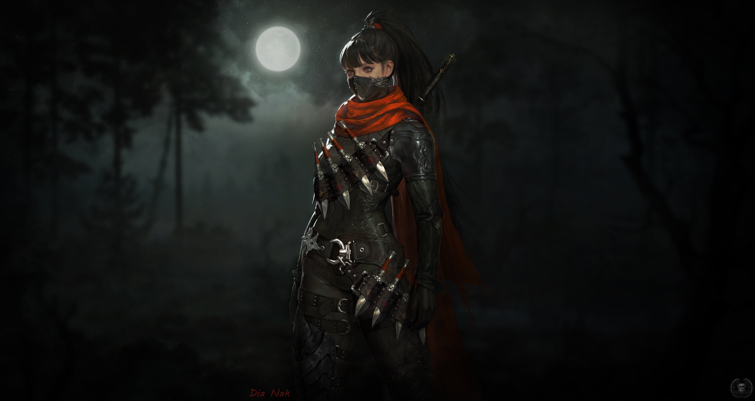 Night, Assassin, Dagger, Black Hair, Fantasy, Woman Warrior, 2K, Girl, Women Warrior, Ponytail, HD Wallpaper