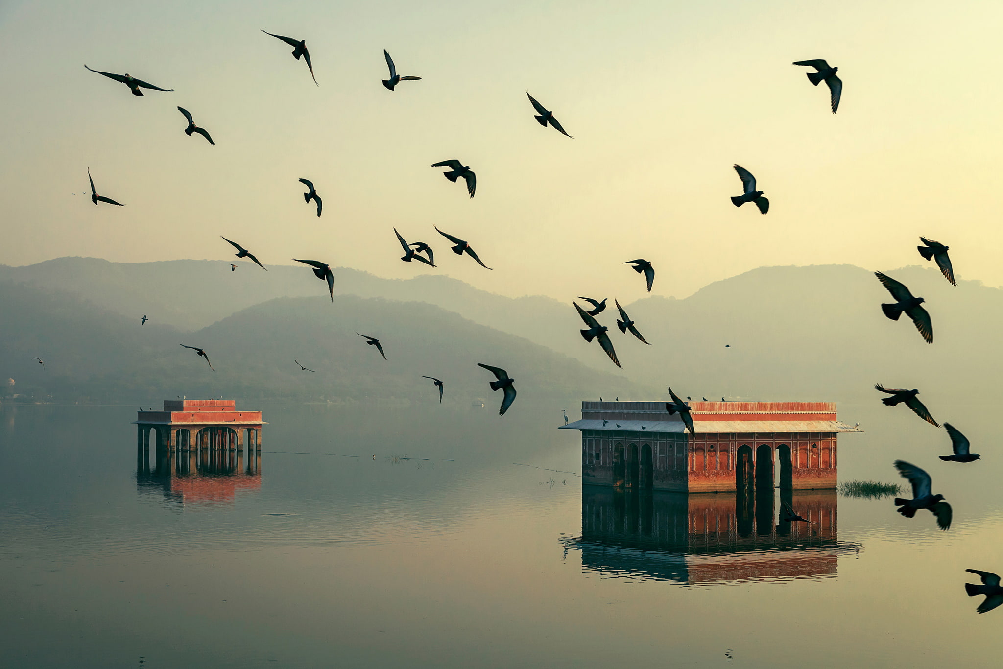 photography, sky, nature, architecture, outdoors, home, mid-air, Jaipur, b, animal themes, vertebrate, animal wildlife, flock of birds, built structure, HD Wallpaper