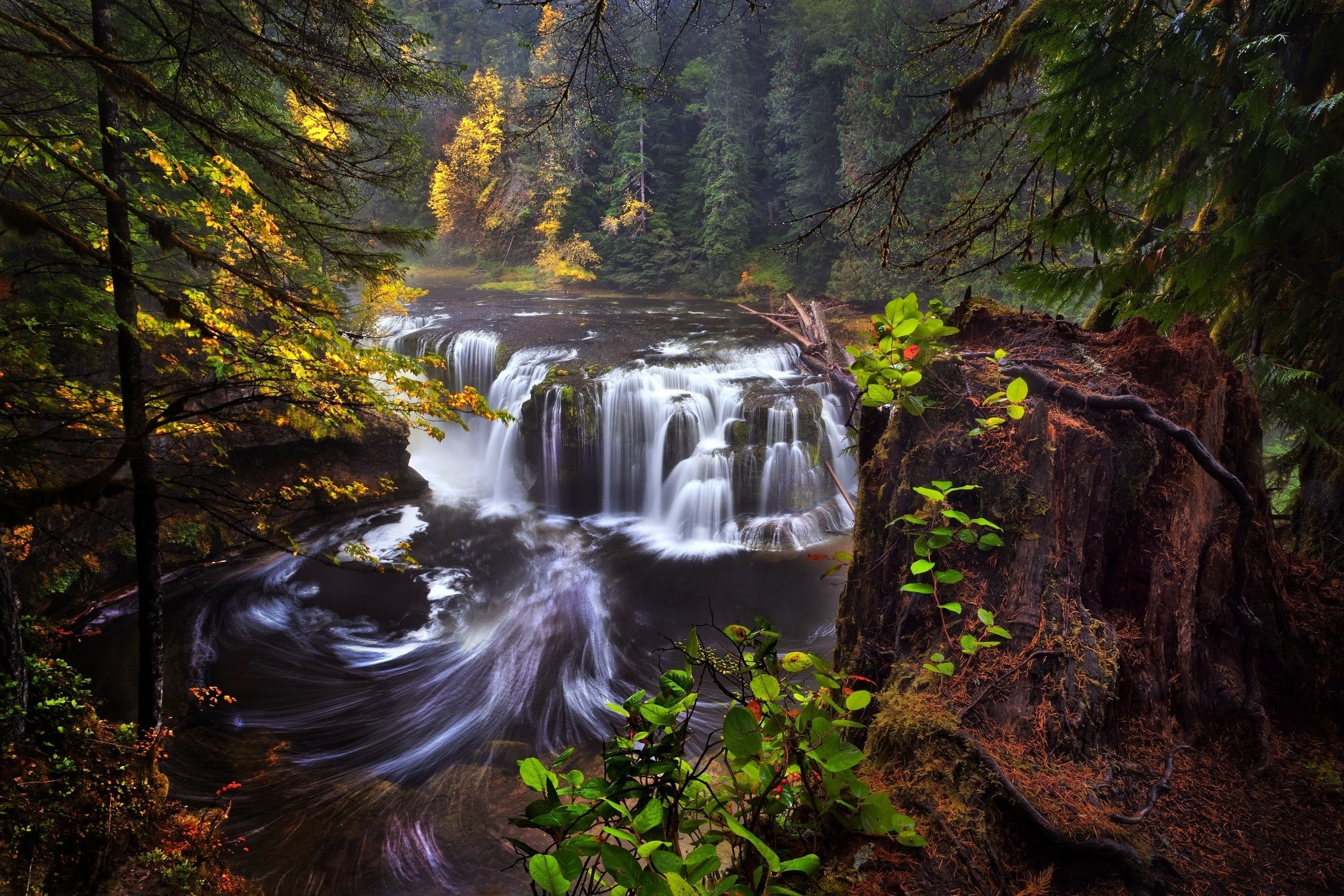trees, waterfall, nature, landscape, 1080P, 2048x1365, HD Wallpaper