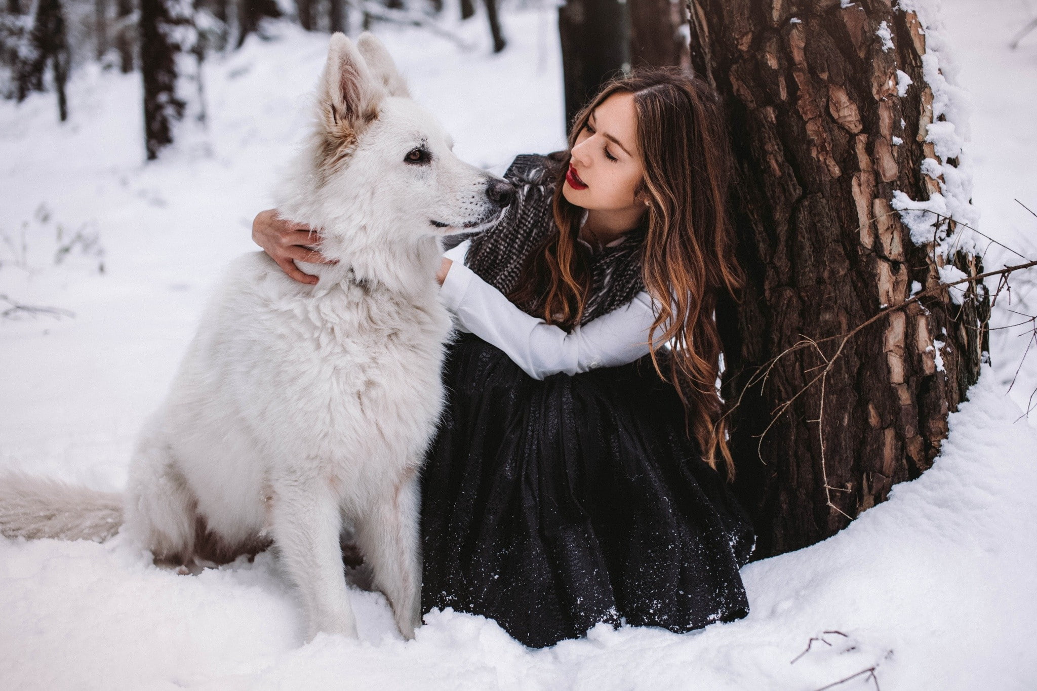 german shepherd, 2048x1365, snow, german, women, animals, shepherd, nature, winter, red, lipstick, 1080P, red lipstick, HD Wallpaper