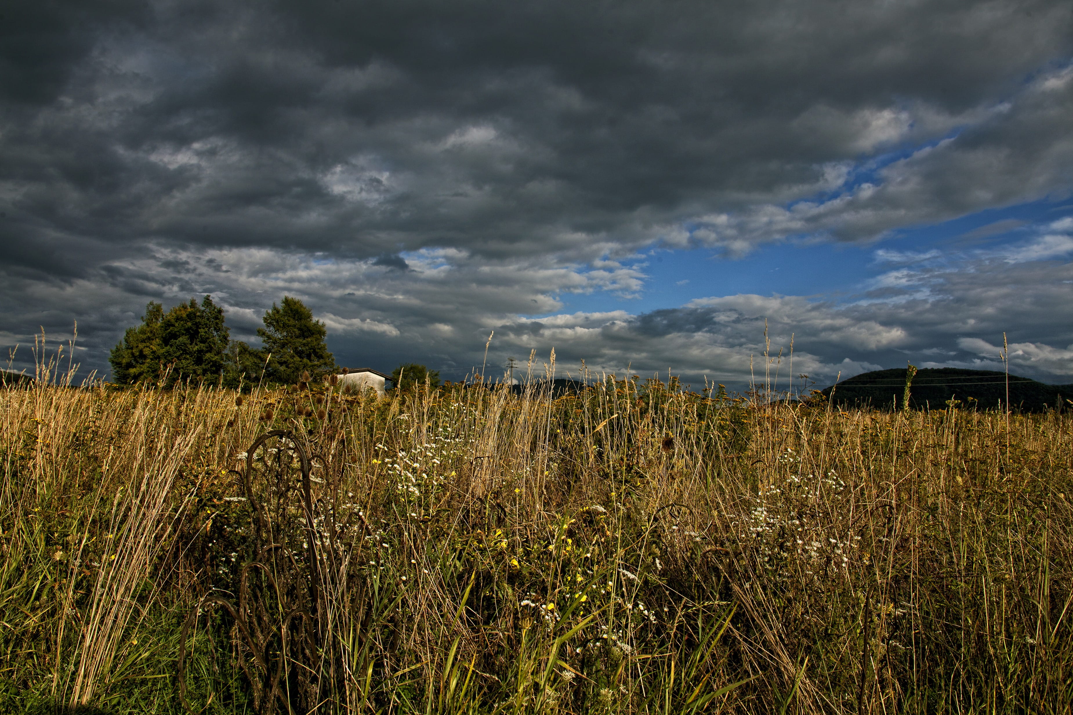 rain, sky, blue, mountain, growth, agriculture, 2K, outdoors, cereal plant, plantation, ominous, meadow, Clouds, scenics, rural Scene, tranquil scene, HD Wallpaper
