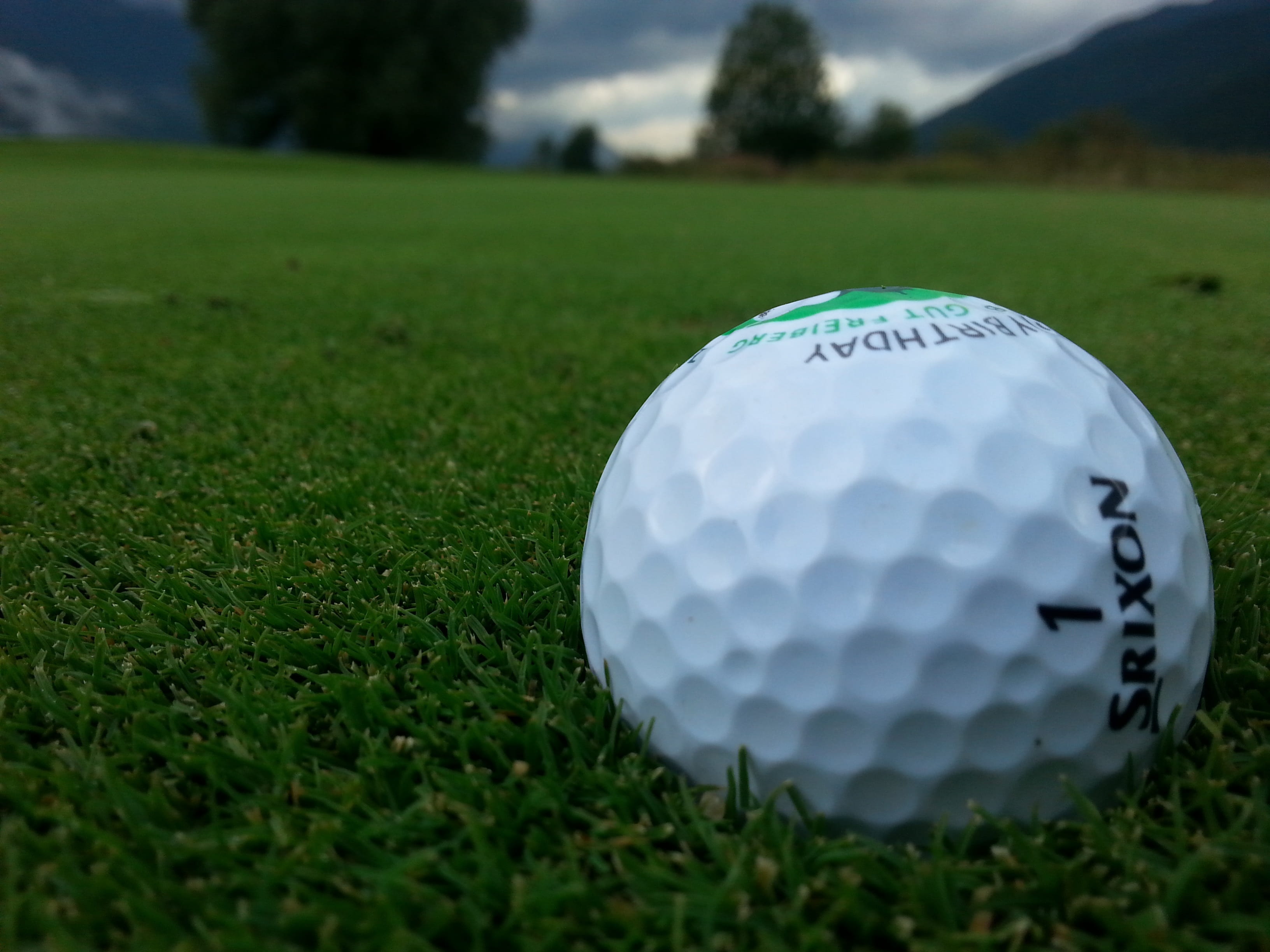 no people, golf ball, leisure activity, close, close-up, selective focus, plant, golf course, land, about, outdoors, nature, white color, focus on foreground, HD Wallpaper