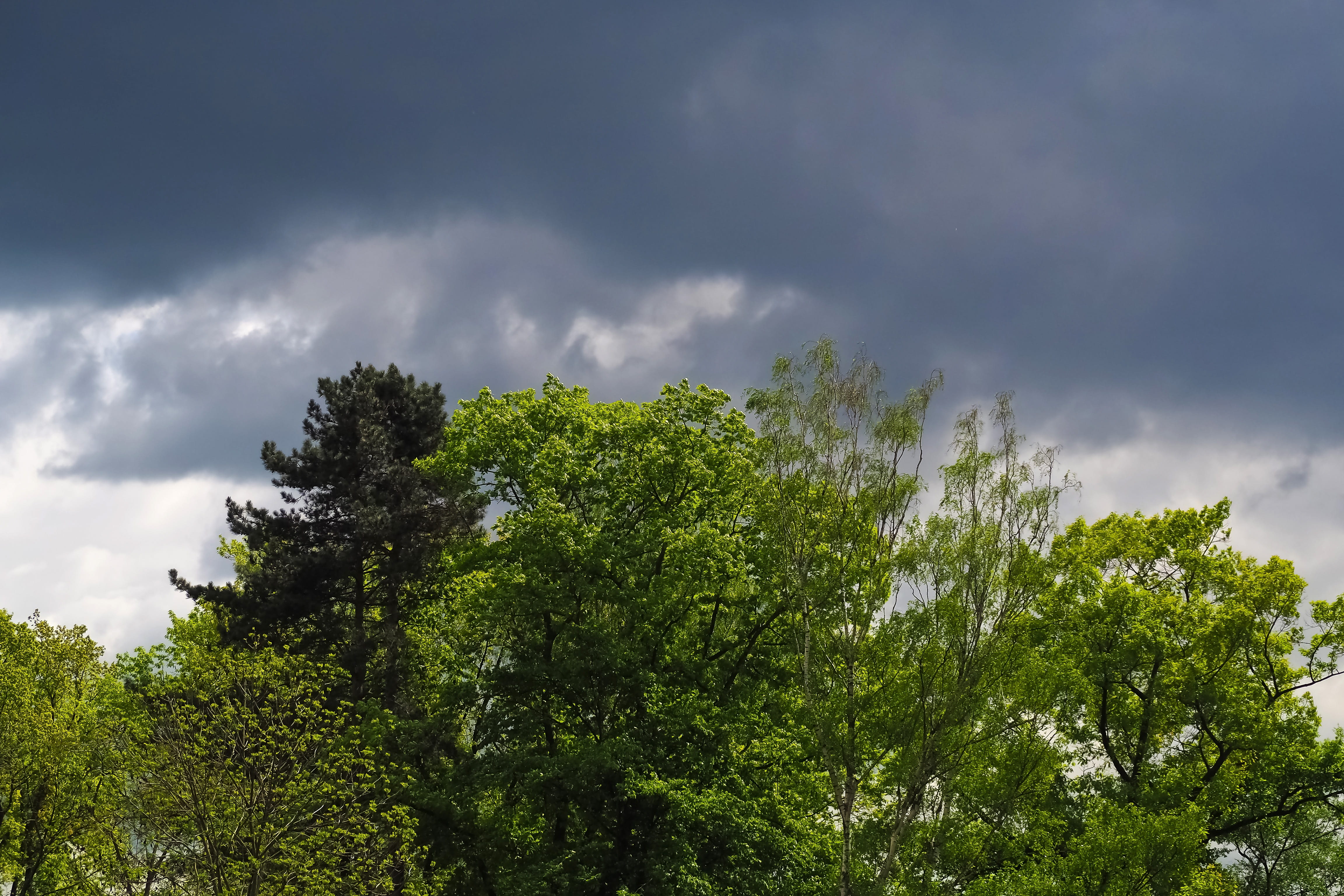 no people, 4K, cloud - sky, scenics - nature, dark clouds, tranquility, tranquil scene, atmosphere, dramatic sky, covered sky, non-urban scene, overcast, HD Wallpaper