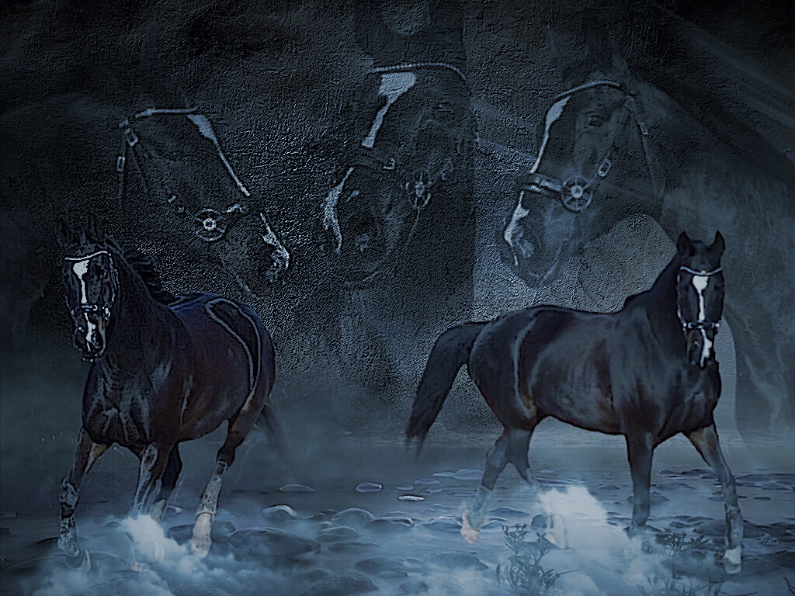 two, animal wildlife, pets, are indescribable, domestic animals, winter, nature, horse, painting, vertebrate, black color, head, indoors, animal themes, HD Wallpaper
