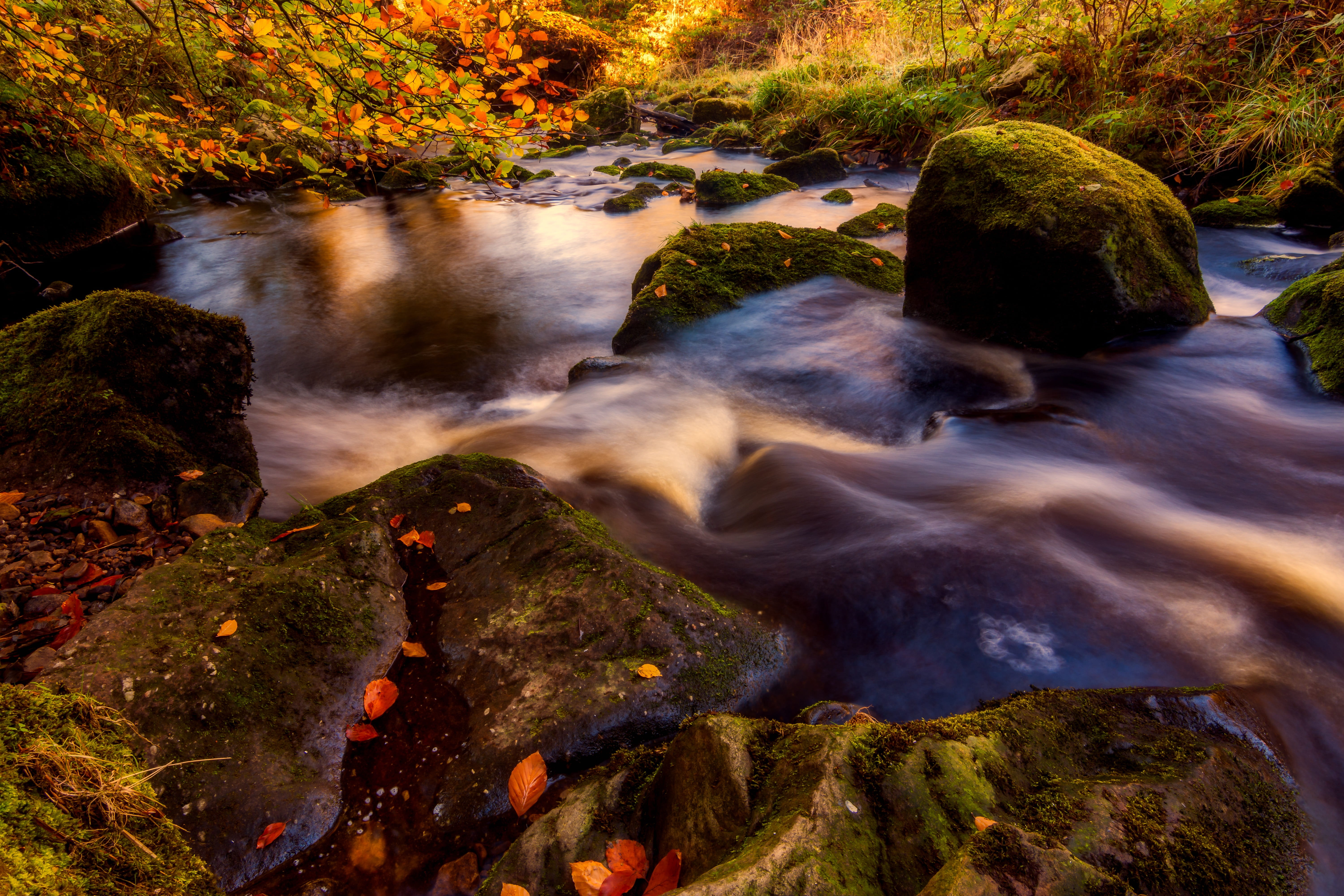 solid, tree, motion, outdoors, yorkshire, erosion, 5K, uk, rocks, england, long exposure, fall, river wharfe, historic, beautiful, wharfedale, nature, HD Wallpaper