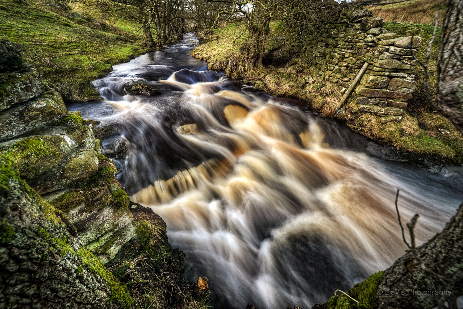 stream, Long exposure, waterfall, river, landscape, body, nature, North Yorkshire, falling, tree, scenics, forest, Skipton, body of water, 720P, rock - Object, HD Wallpaper