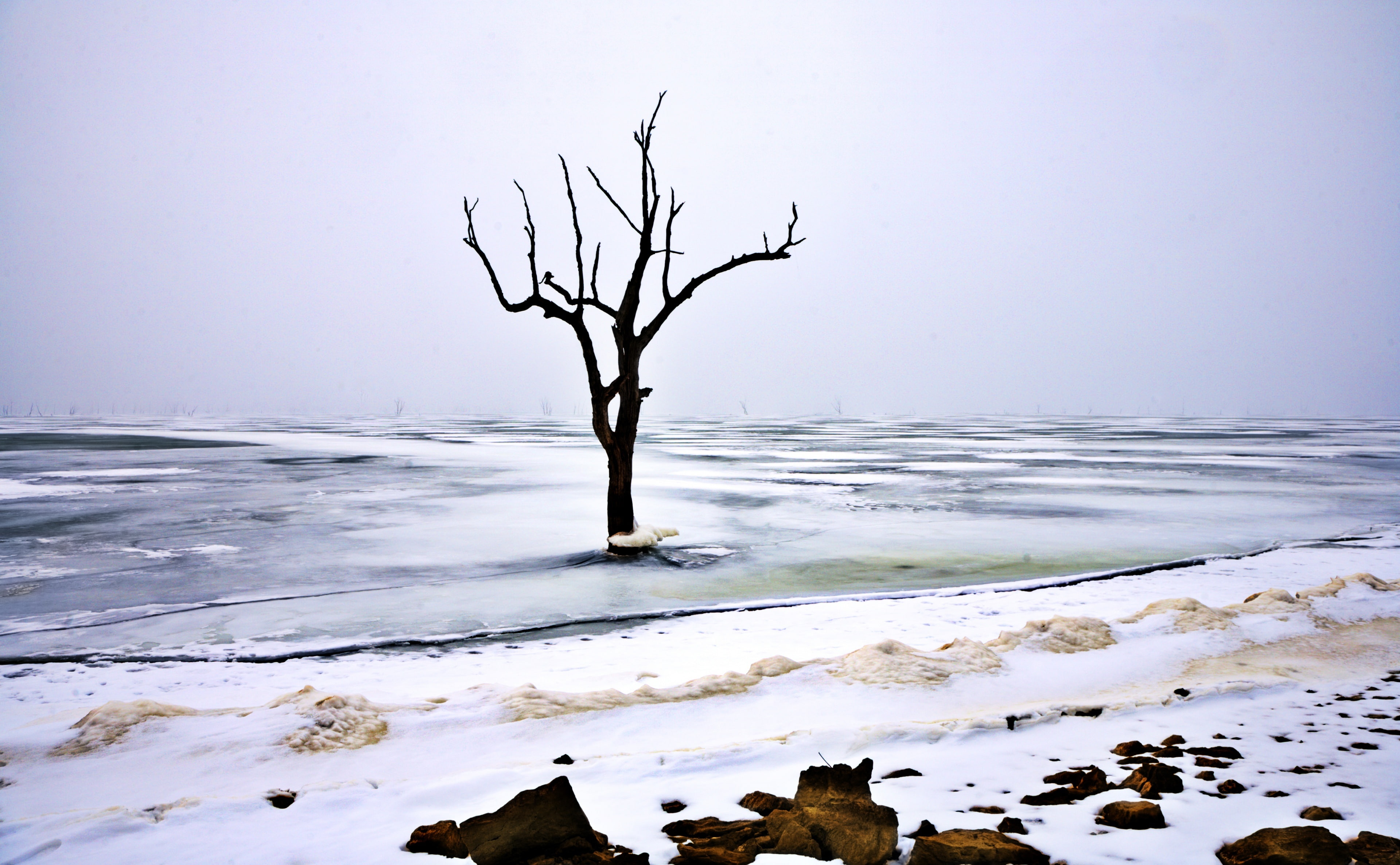 isolated, environment, tranquility, sky, no people, Landscape, bare tree, cold, outdoors, tranquil scene, day, non-urban scene, cold temperature, last, HD Wallpaper