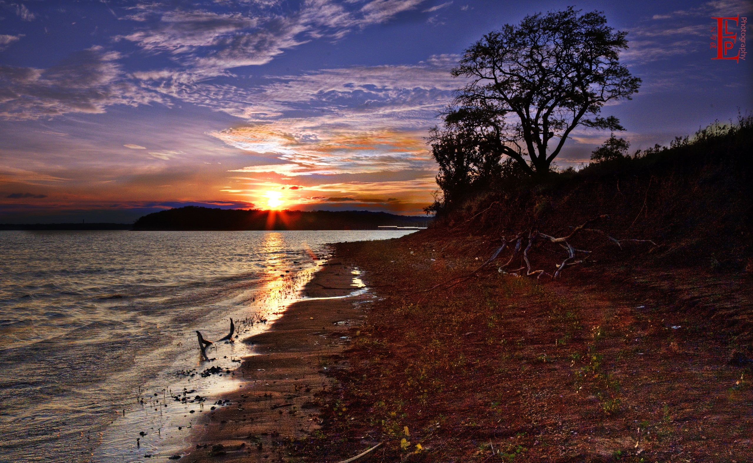 2K, Landscape, plant, body, bones, bleached, United States, outdoors, sunlight, Clinton Lake, water, Nature, Sunset, no people, Scene, Tree, tranquility, HD Wallpaper