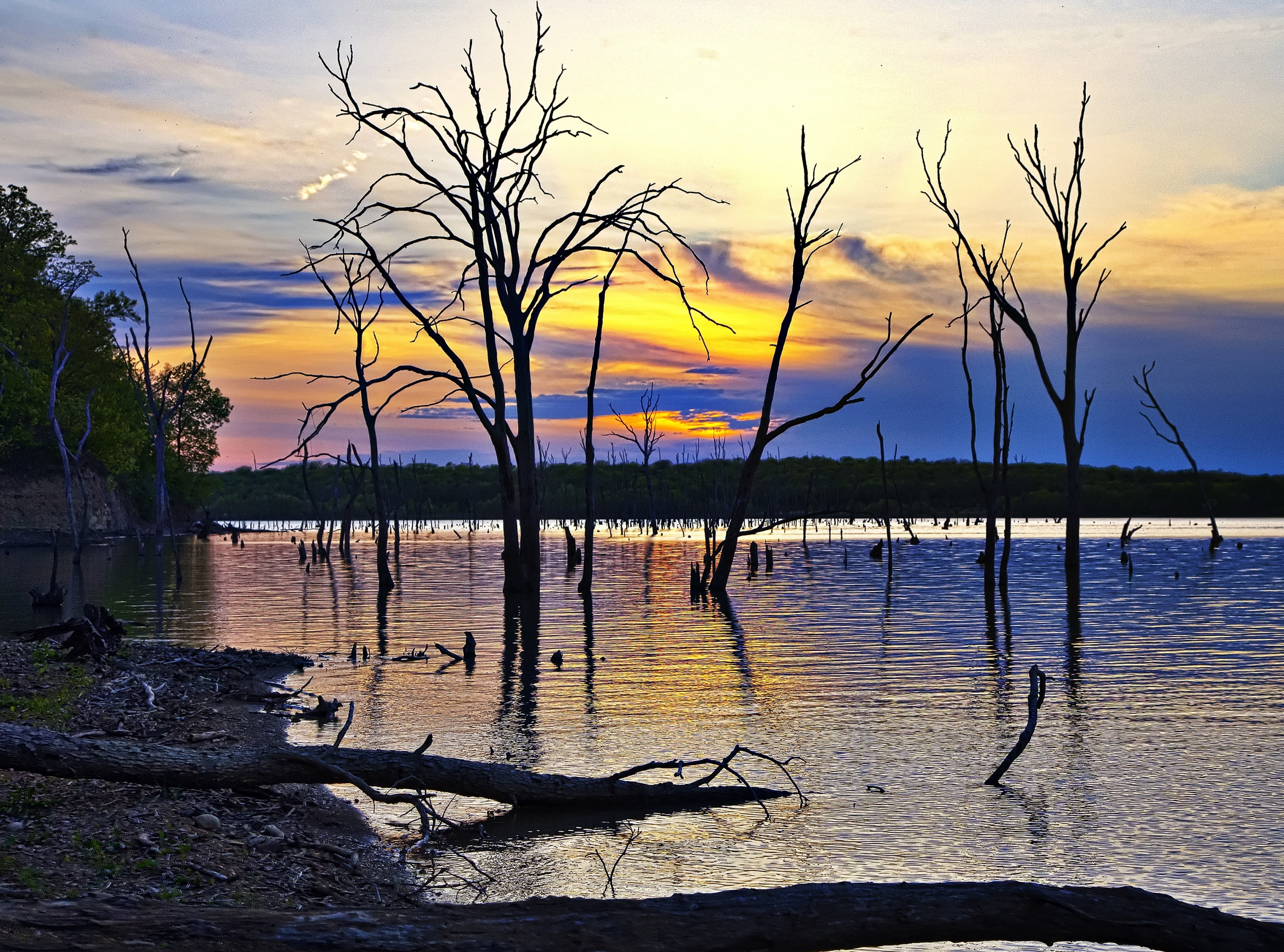 cloud - sky, Kansas, outdoors, Nature, bare tree, Clinton Lake, plant, tranquil scene, Lawrence, South, Travel, Bank, bare, Side, Scenery, sky, no people, HD Wallpaper