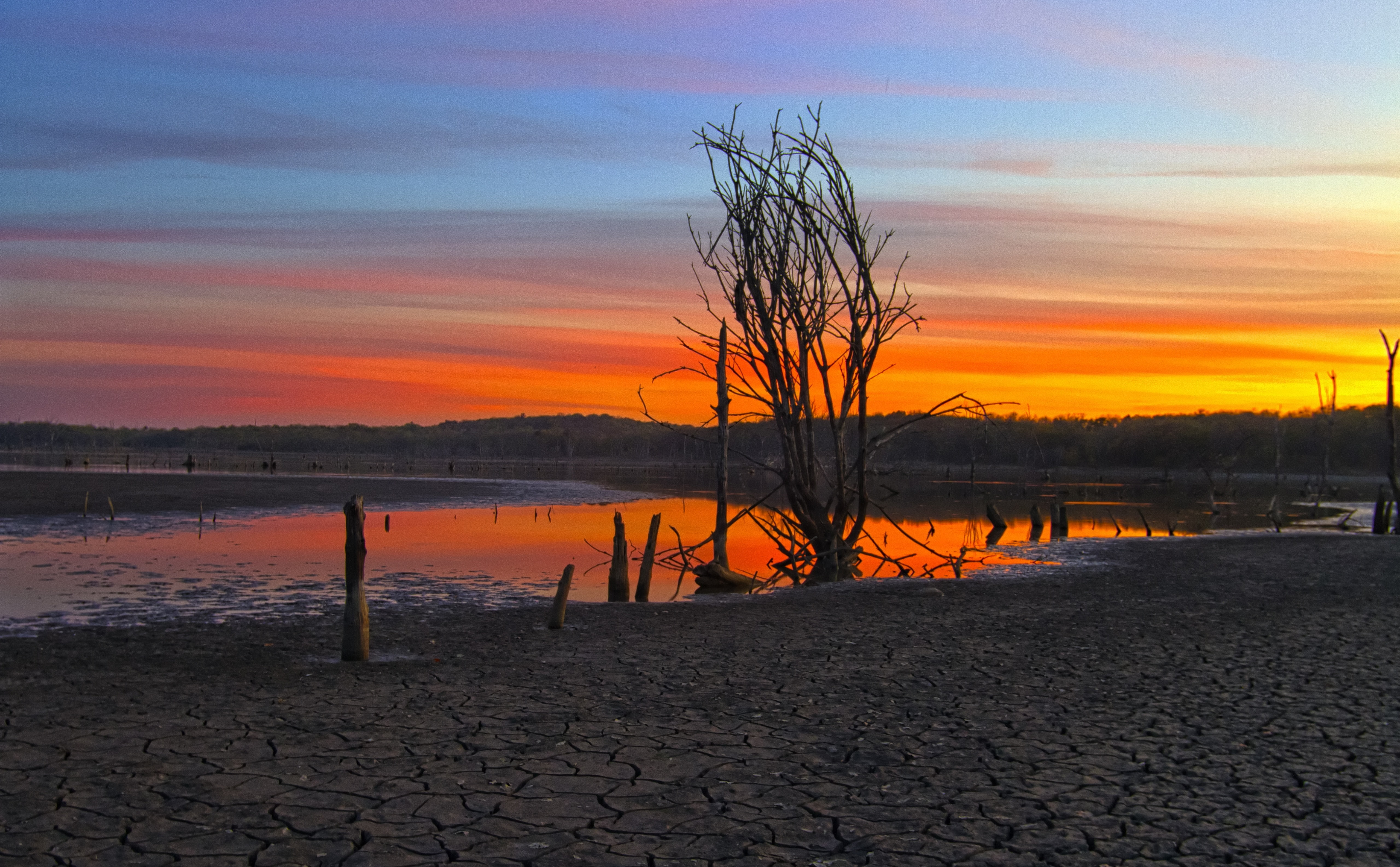 shoreline, bare tree, scenics - nature, tranquil scene, Travel, sunset, Clinton Lake, bare, no people, Scenery, Vision, Tree, non-urban scene, Scene, Lake, HD Wallpaper