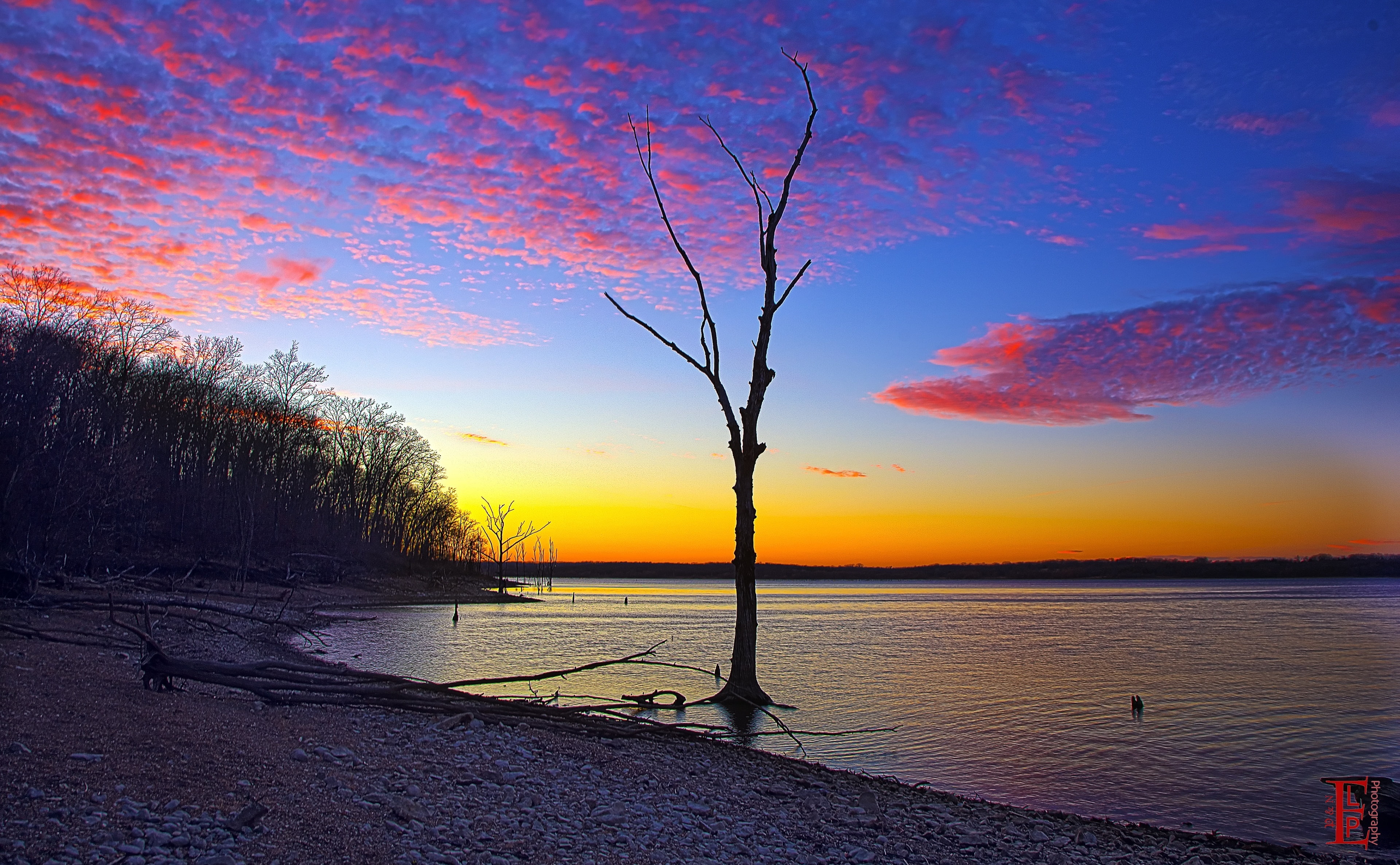 Beautiful, Clinton Lake, Sunset, Nature, idyllic, tranquil scene, Down, scenics - nature, orange color, sea, Lawrence, United States, Bank, Tree, land, HD Wallpaper