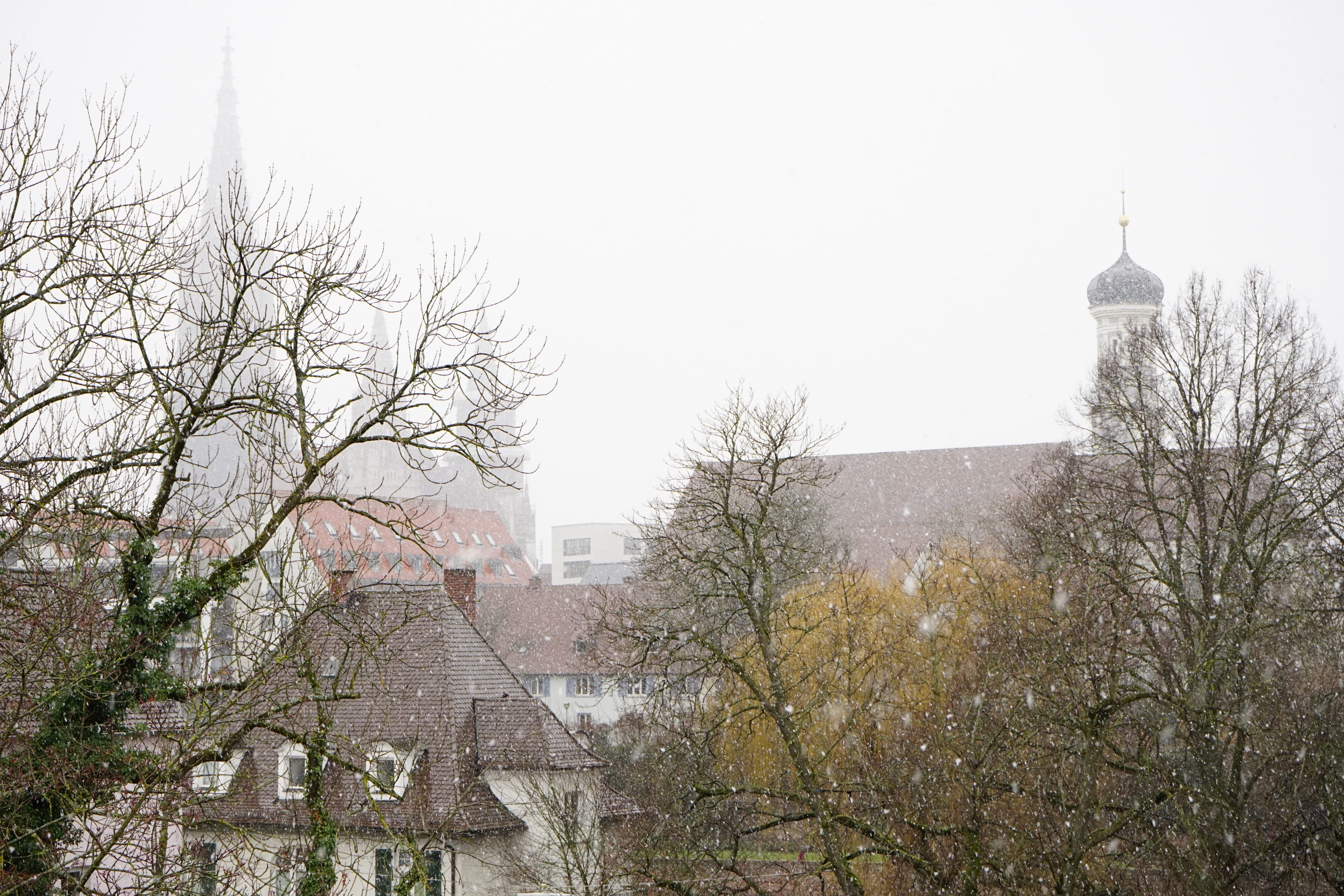 plant, ulm cathedral, travel destinations, slurry, sky, Winter, spire, architecture, bare tree, snowing, tree, built structure, snow, religion, cold temperature, HD Wallpaper
