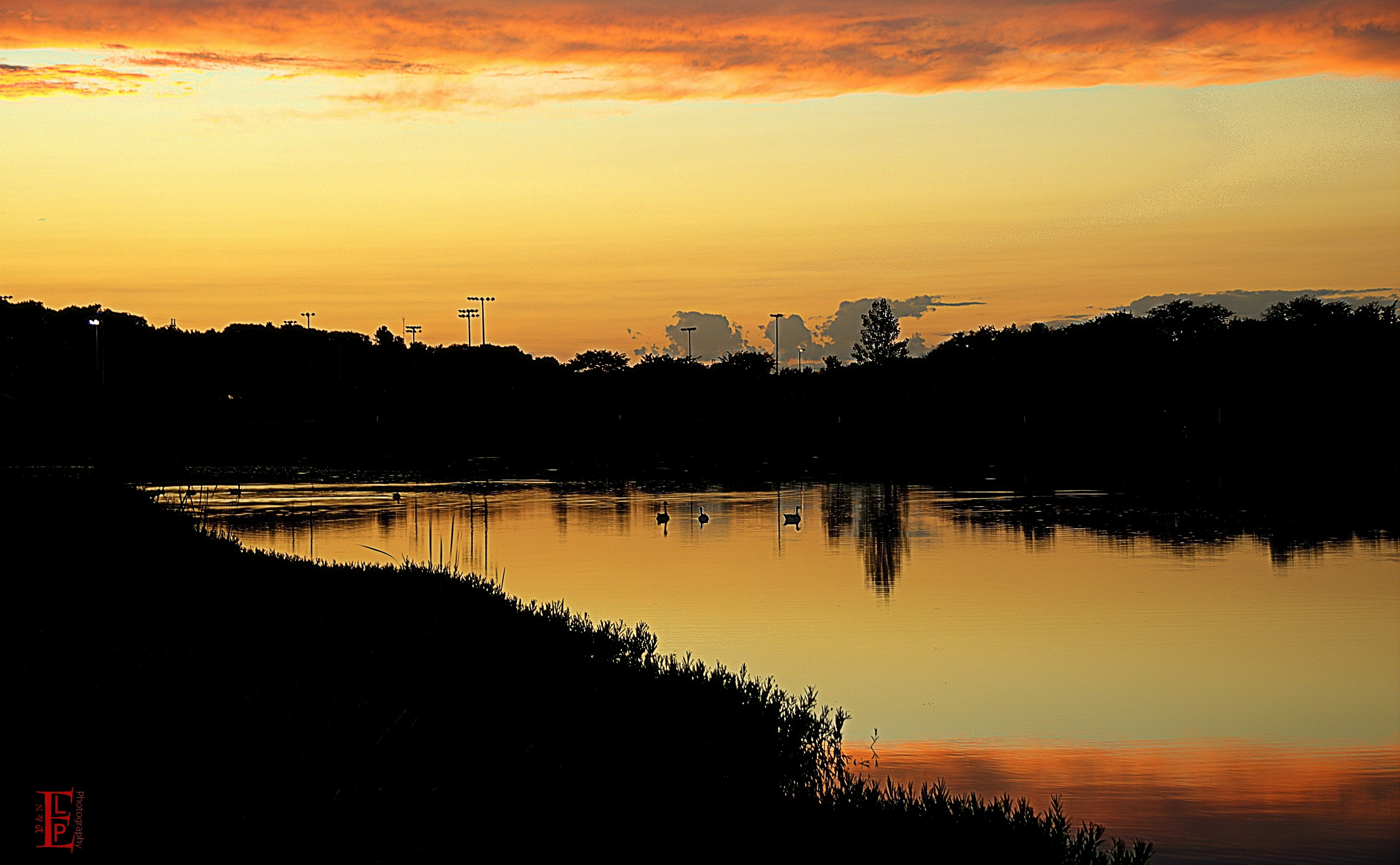 tranquil scene, Clinton Lake, water, United States, Reflection, waterfront, Baseball, Scenery, beauty in nature, Lawrence, tree, Bank, trees, Landscape, HD Wallpaper