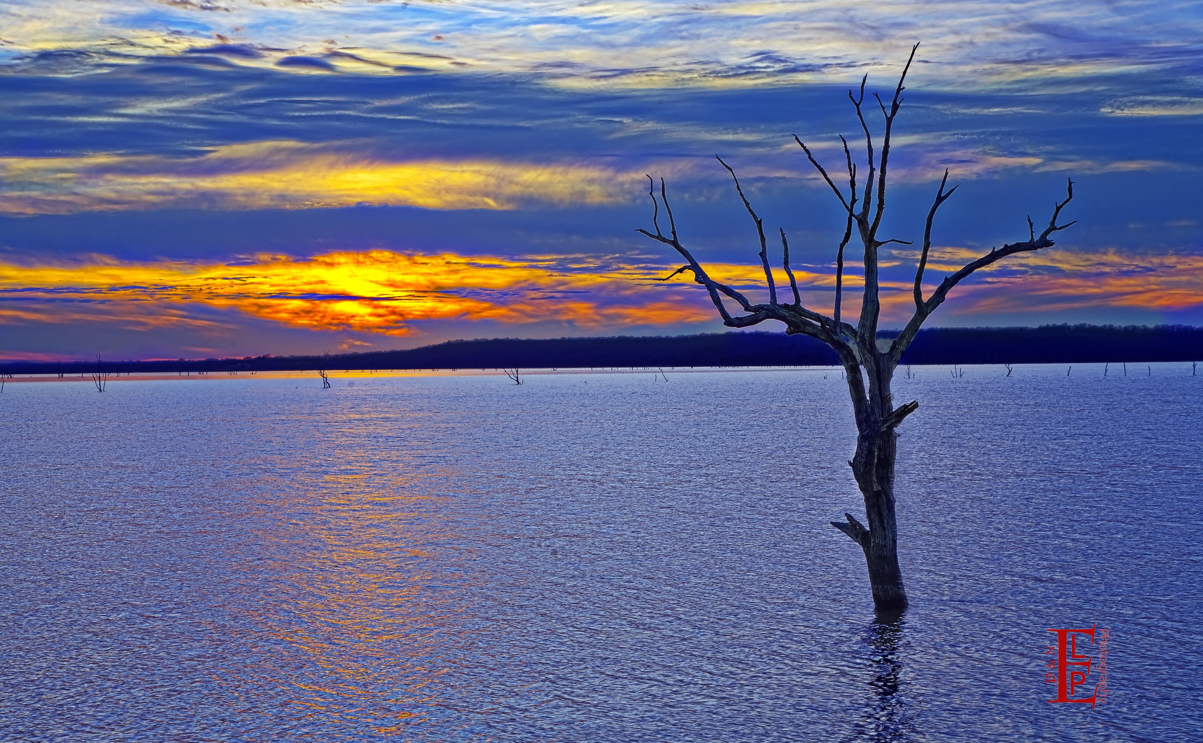 outdoors, idyllic, bare tree, Nature, tranquil scene, dead tree, orange color, bare, waterfront, Scenery, beauty in nature, Scene, Tree, body, scenics - nature, HD Wallpaper