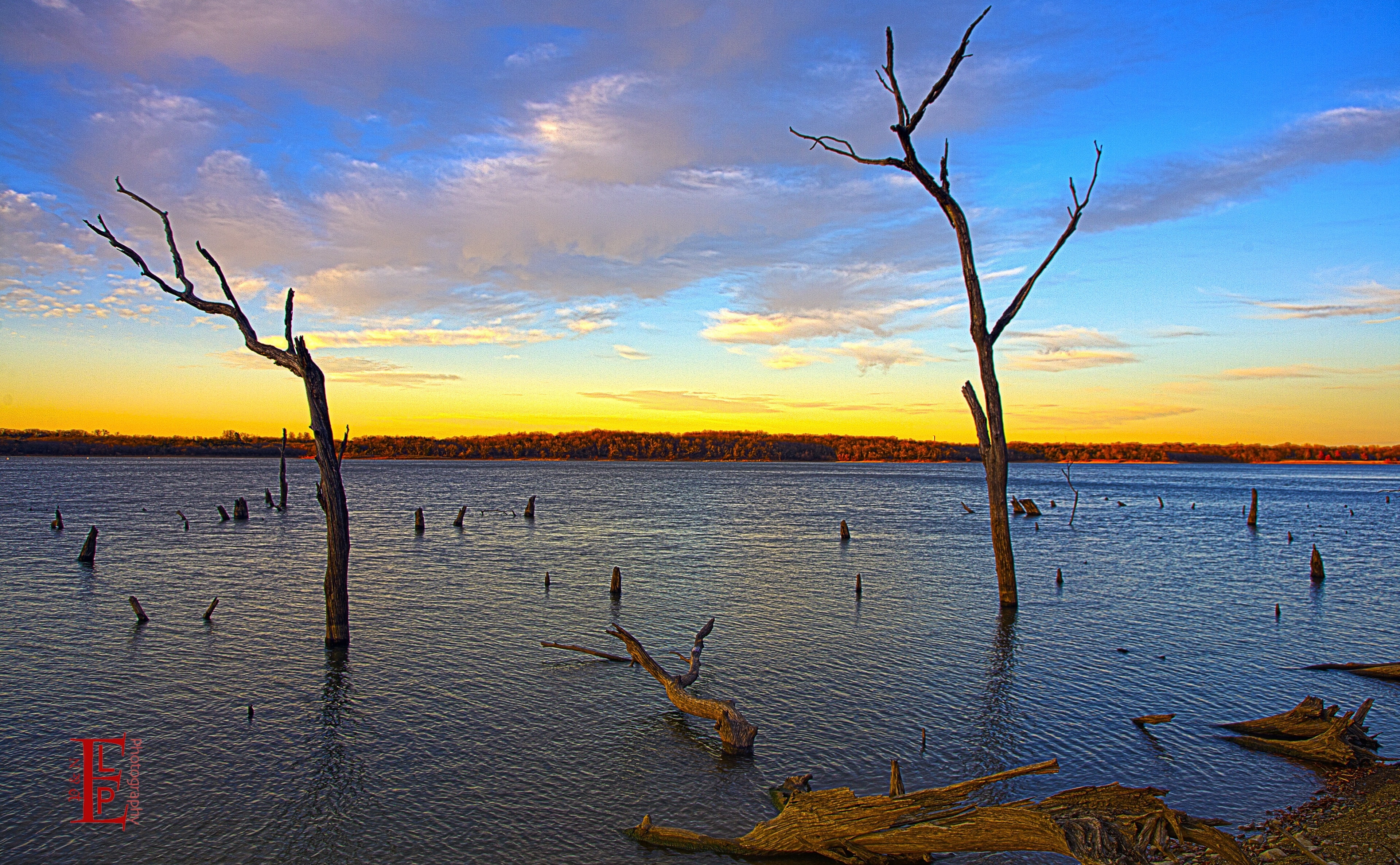 bare tree, Travel, beauty in nature, Beautiful, sunset, tranquility, Scenery, scenics - nature, Scene, Kansas, Tree, Lawrence, Nature, Landscape, cloud - sky, HD Wallpaper