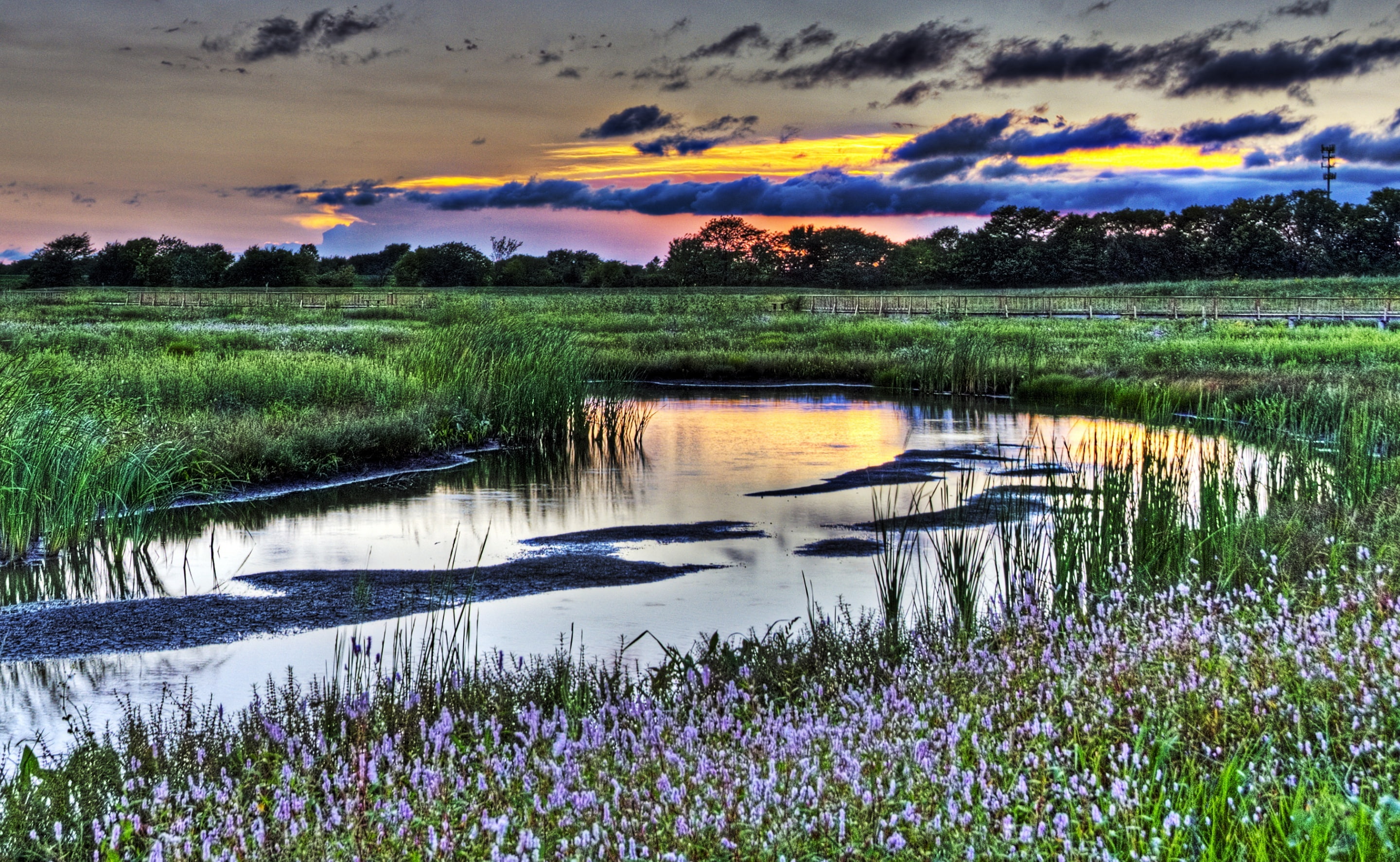 sunset, idyllic, United States, Wakarusa Wetlands, tranquil scene, no people, Kansas, green, green grass, plant, growth, Baker Wetlands, boardwalk, cloud - sky, HD Wallpaper