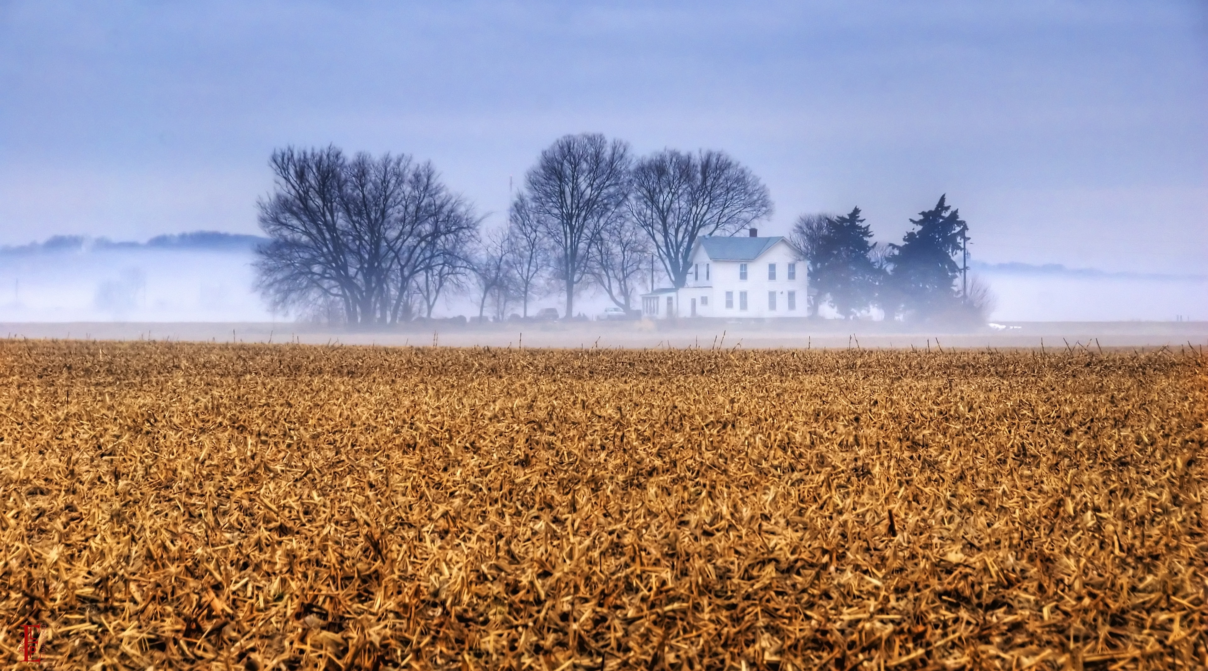 Kansas, united states, sky, Winter, Scene, Travel, scenics - nature, Seasons, bare tree, beauty in nature, Lawrence, environment, tranquility, rural scene, HD Wallpaper