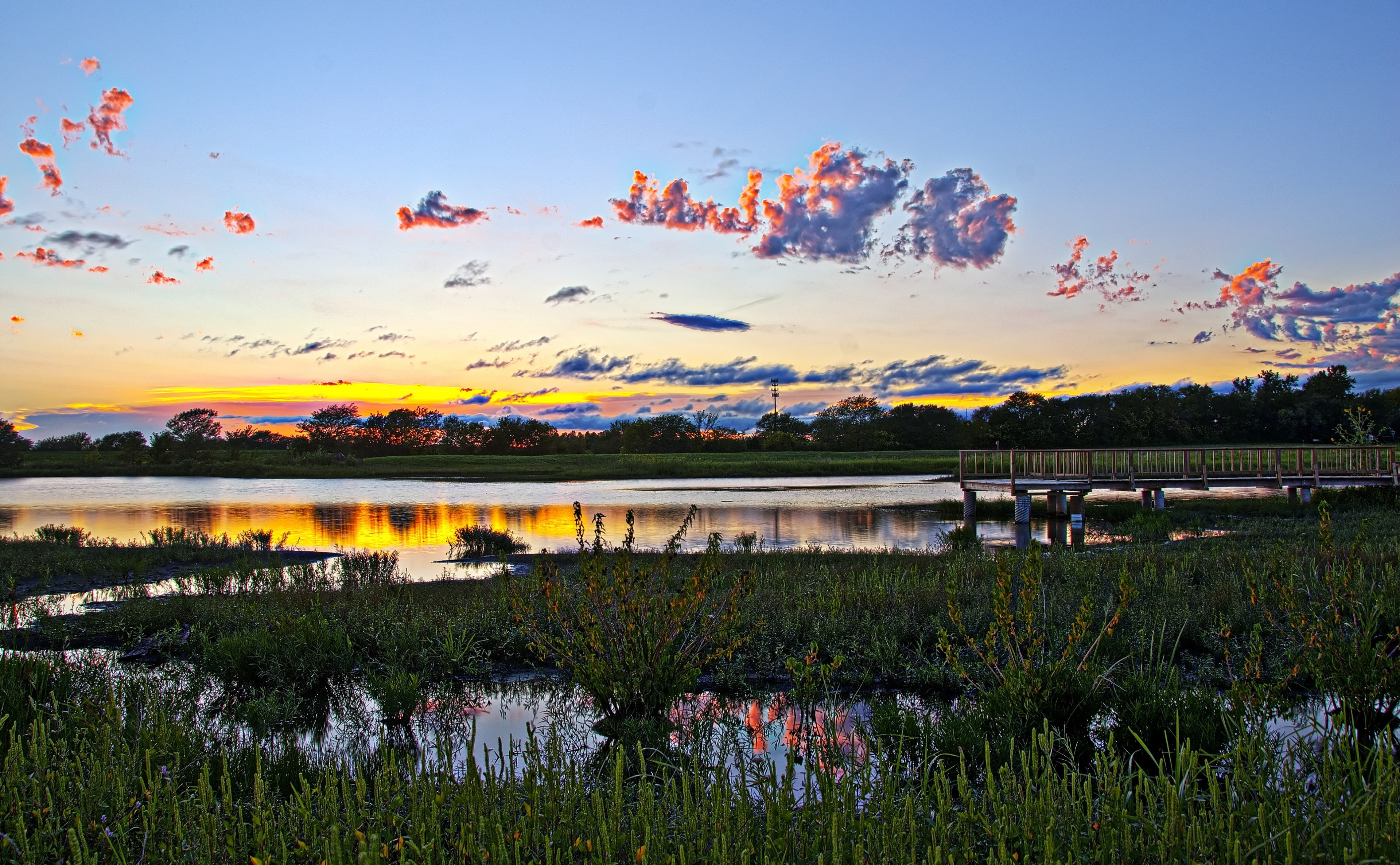 cloud - sky, Travel, scenics - nature, Scenery, Wakarusa Wetlands, 4K, growth, environment, water, grass, Landscape, Beautiful, no people, leafed, sky, HD Wallpaper