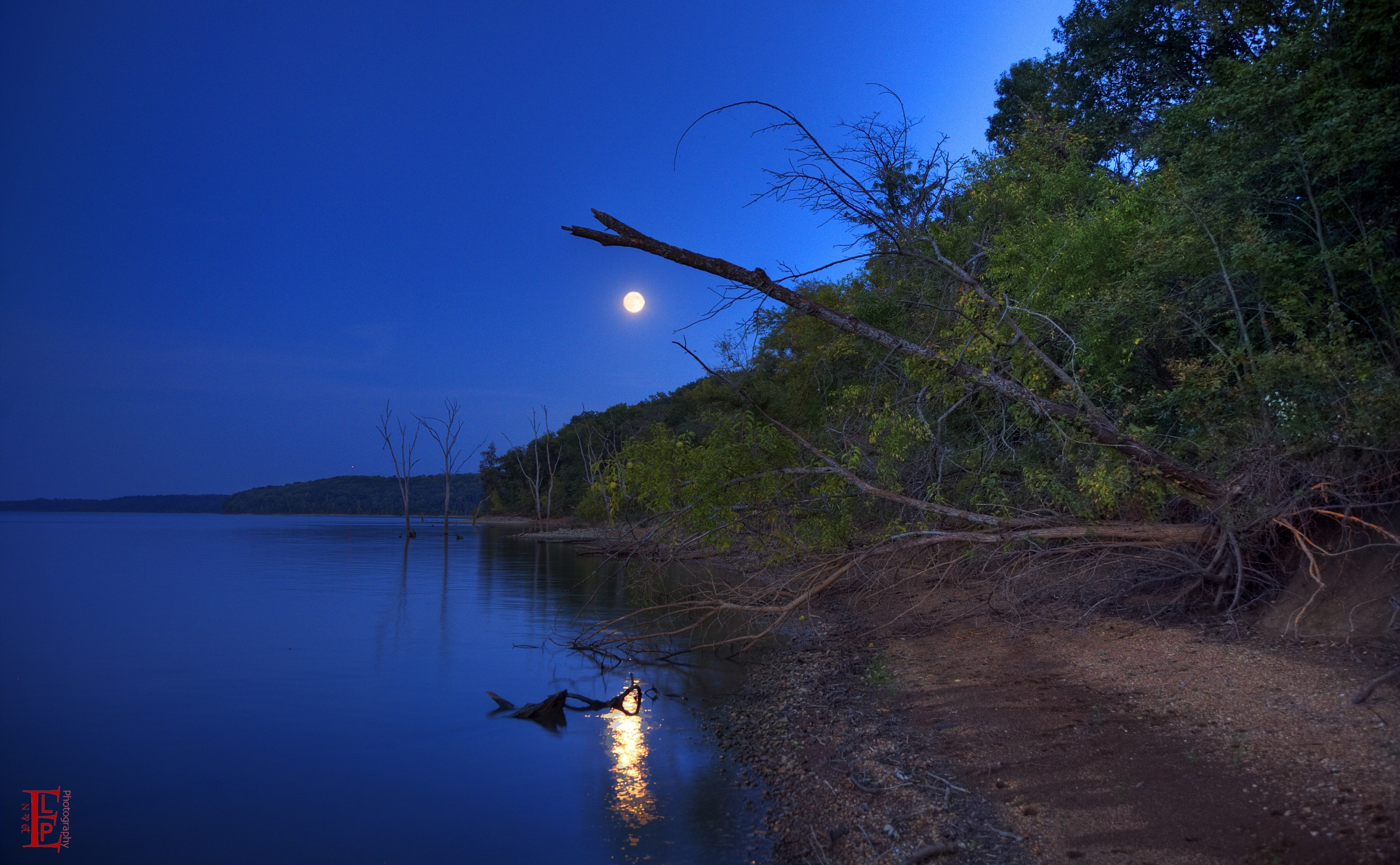 Reflection, night, walk, land, Scenery, United States, moonlight, Lake, outdoors, river, tranquility, beauty in nature, Bank, plant, tranquil scene, Lawrence, HD Wallpaper