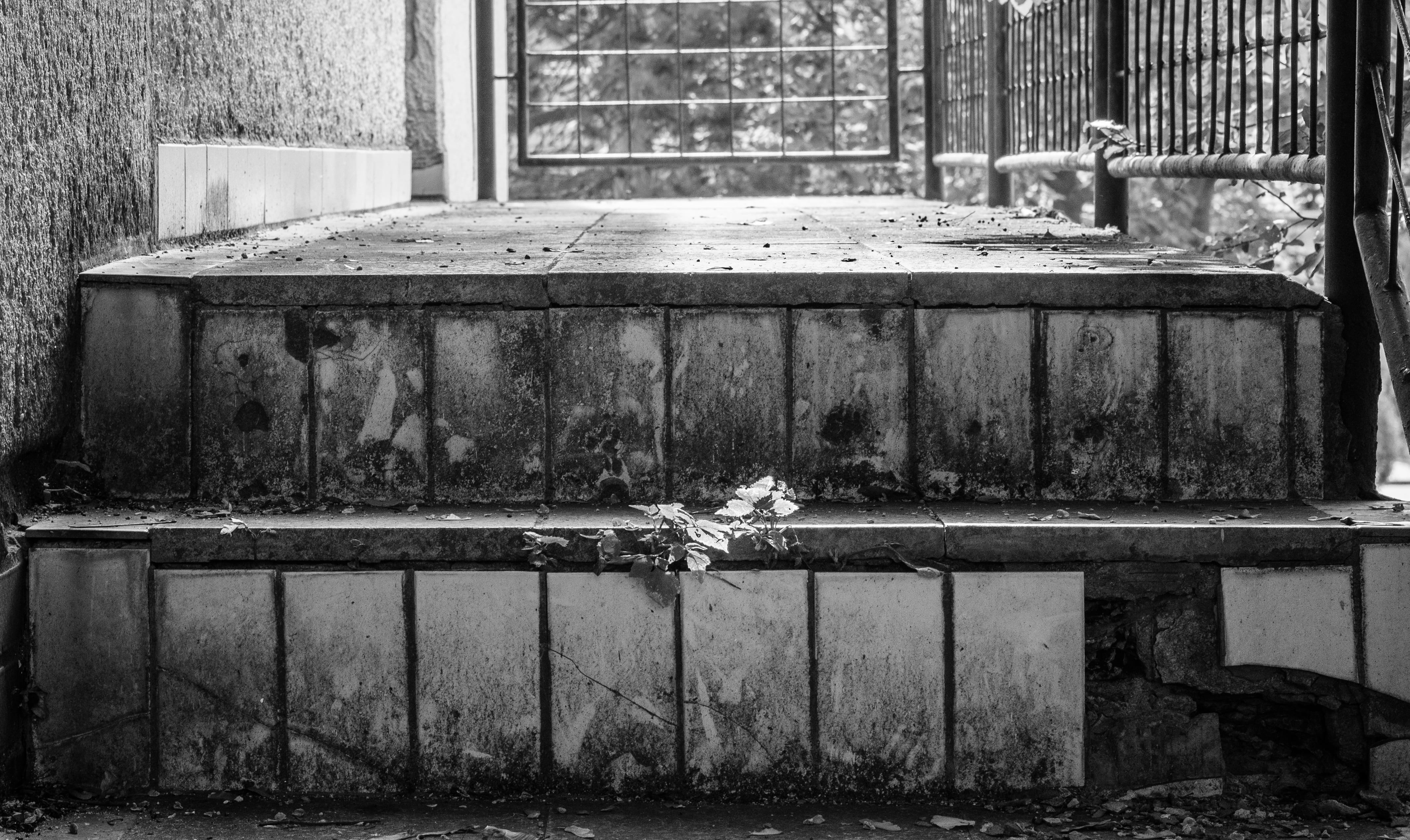 motion, macro, detail, hobby, architecture, city, path, plant, Stairs, staircase, abandoned, gradually, built structure, fountain, day, long way, Walking, HD Wallpaper