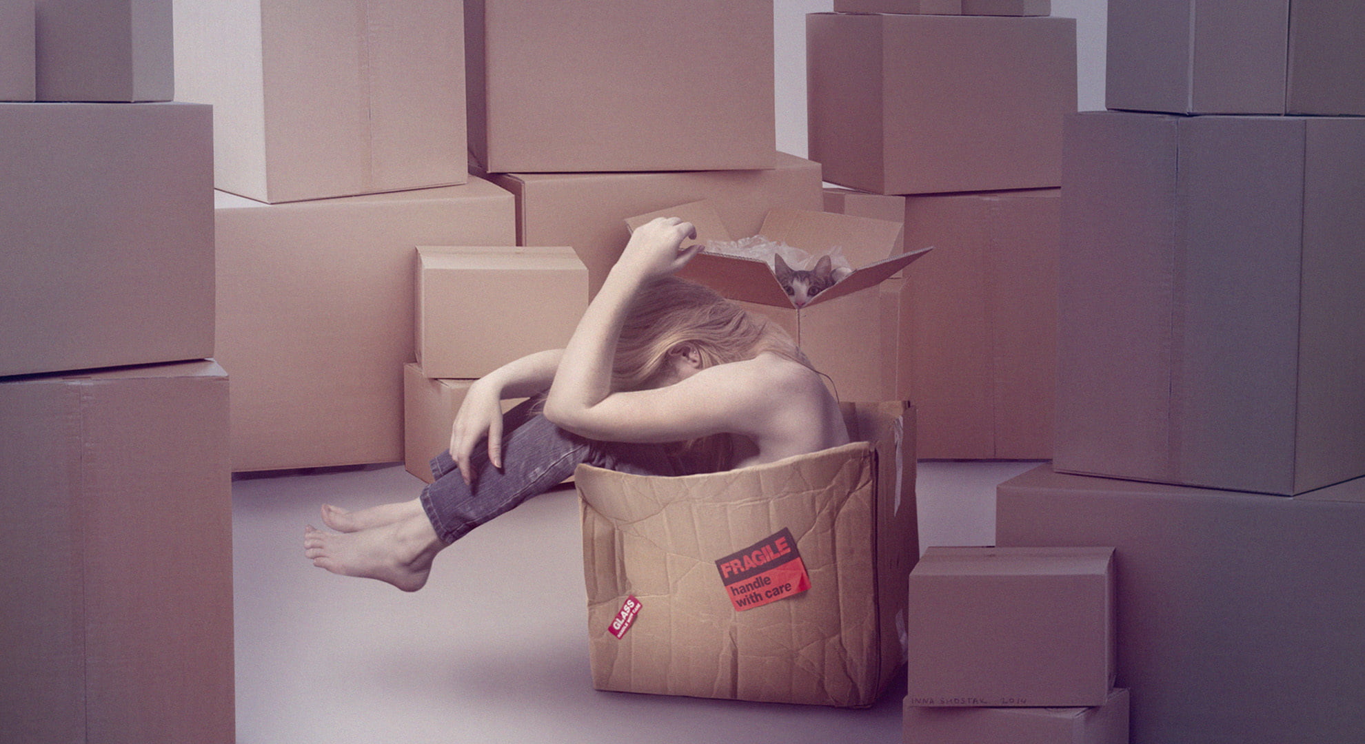 beginnings, indoors, cardboard box, cat, cardboard, fragile, humor, sadness, paper, girl, box - container, container, fun, packing, home ownership, representation, HD Wallpaper