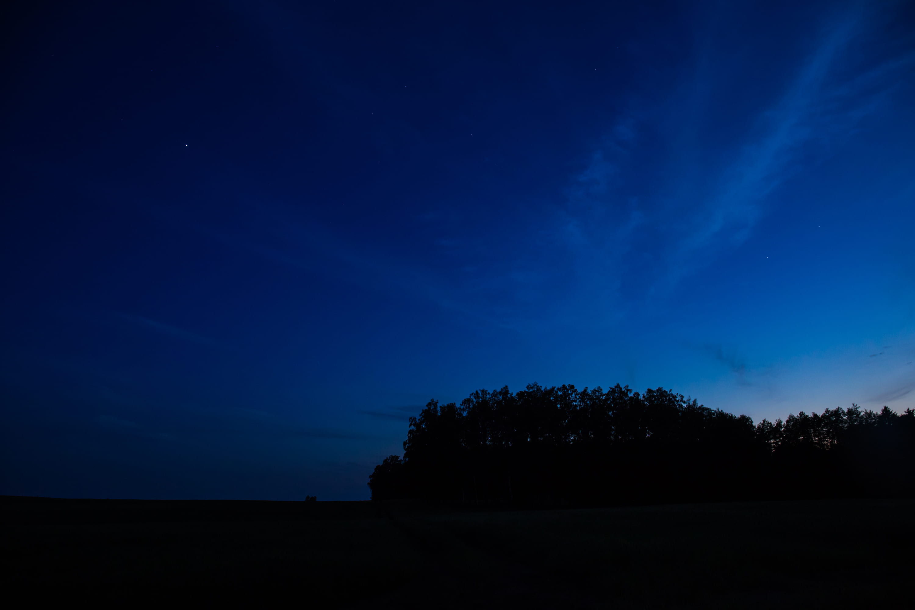 travel, plant, silhouette, space, sky, dawn, placid, non-urban scene, 2K, evening, light, idyllic, scenics - nature, romantic, clouds, beauty in nature, HD Wallpaper