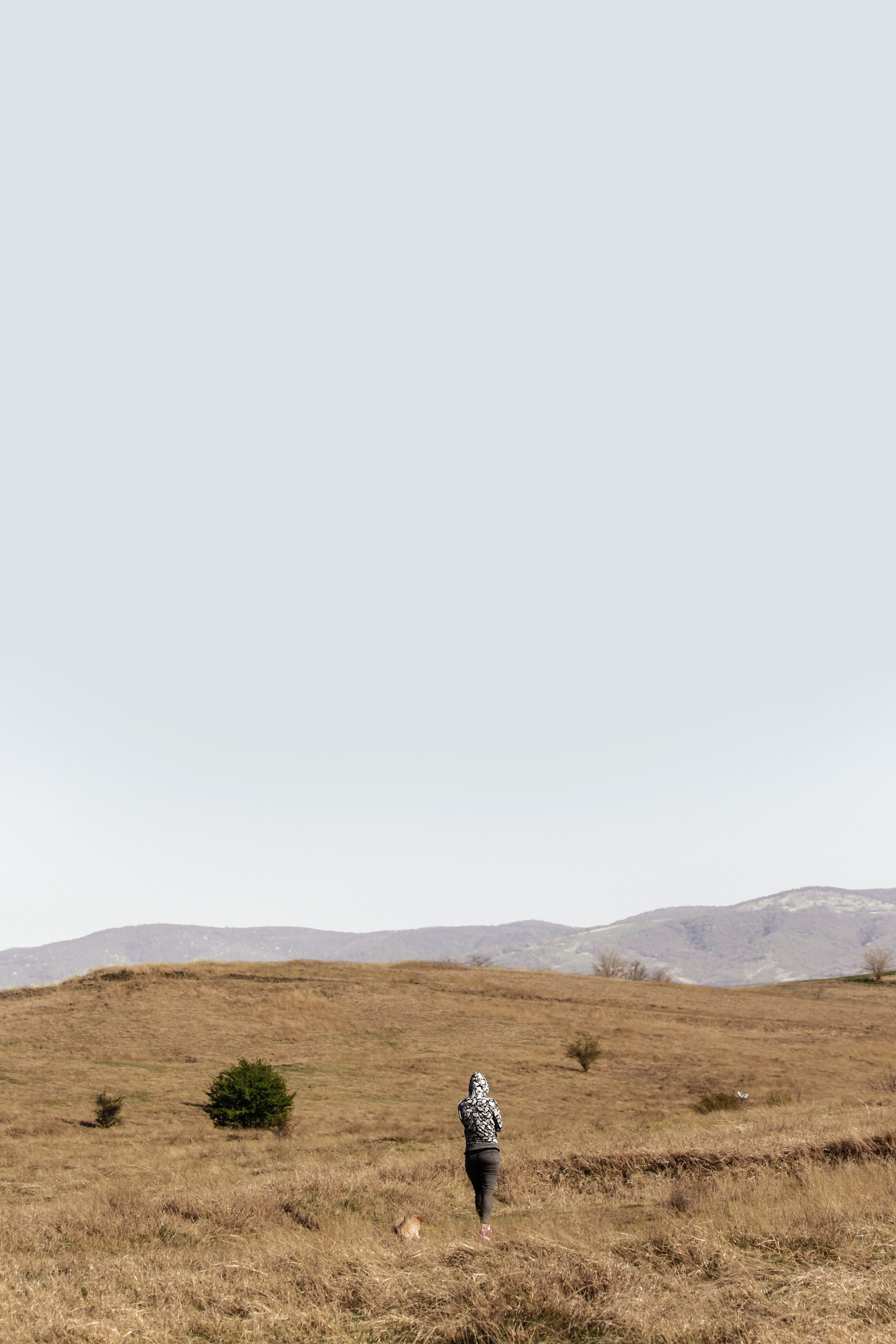 remote, day, travel, beauty in nature, banat, lonesome, scenics - nature, land, environment, nature reserve, dog, 4K, rear view, deliblato, lifestyles, Phone HD Wallpaper