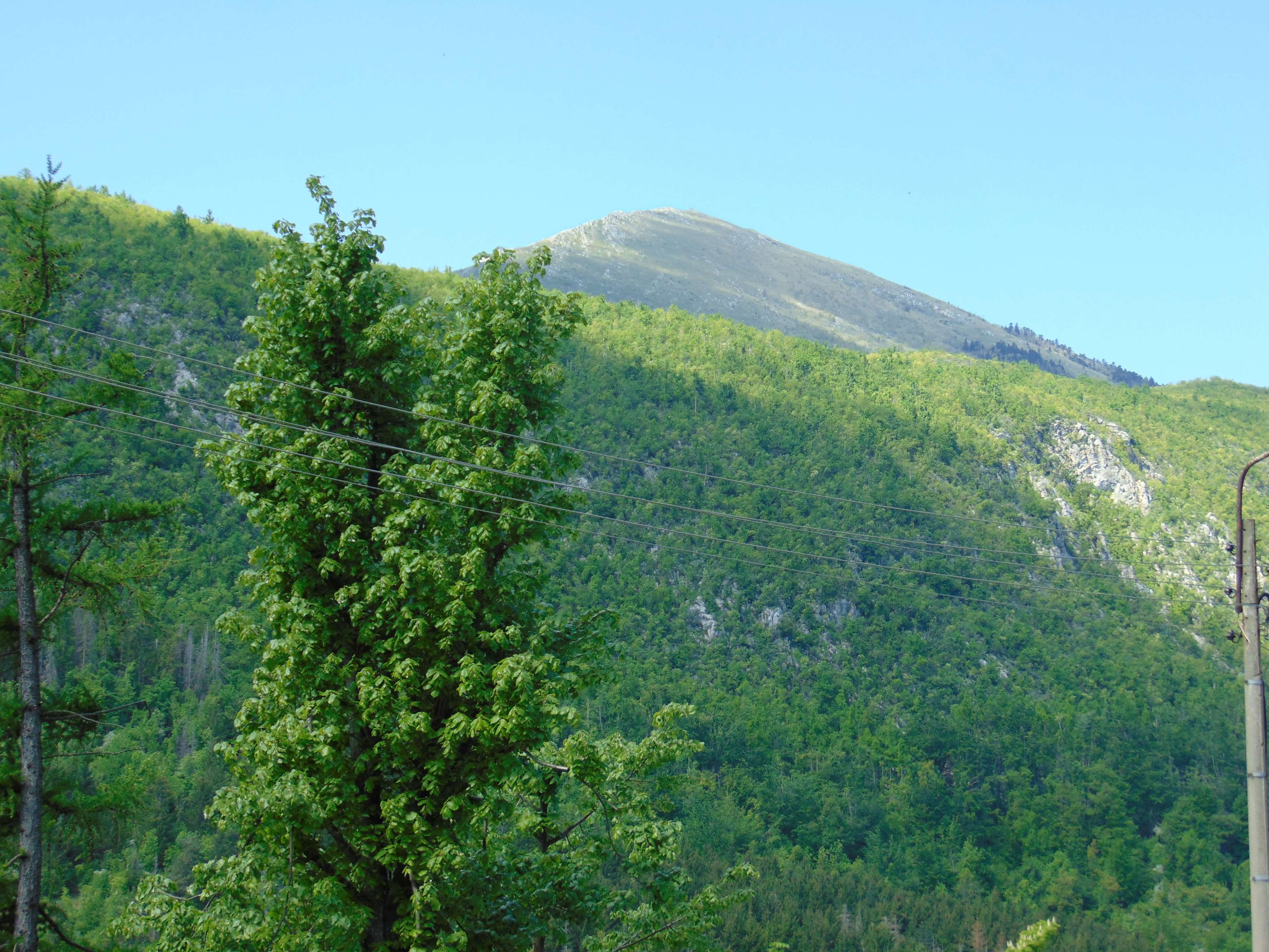 land, mountains, lush foliage, non-urban scene, green color, foliage, mountain, no people, environment, sky, tree, beauty in nature, rtanj, planina, top, HD Wallpaper