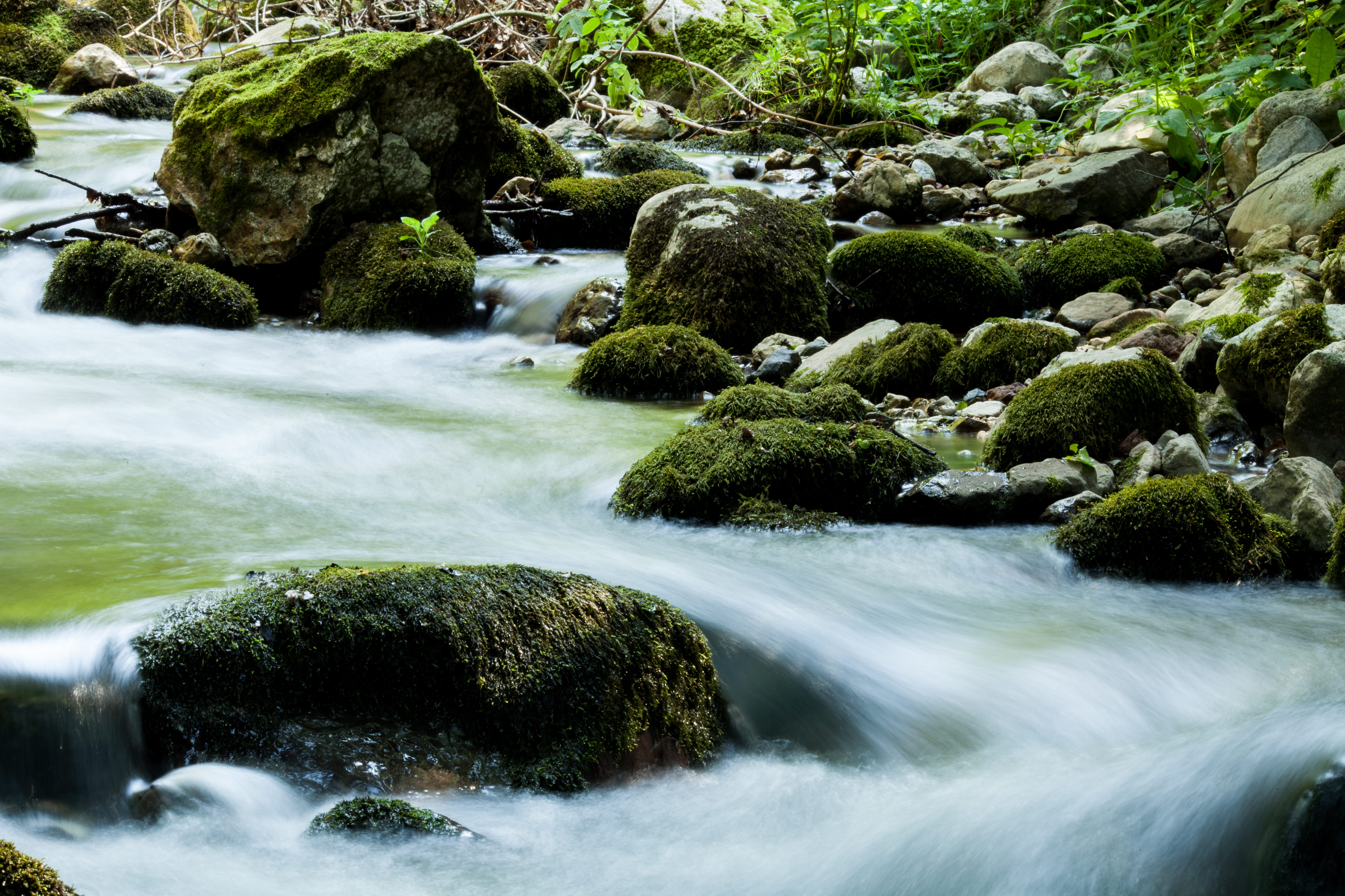 solid, lađevci, 5K, forest, trees, rock, nemanja obradovic, srbija, growth, blurred motion, fresh, air, motion, plant, ladjevac, stream - flowing water, HD Wallpaper