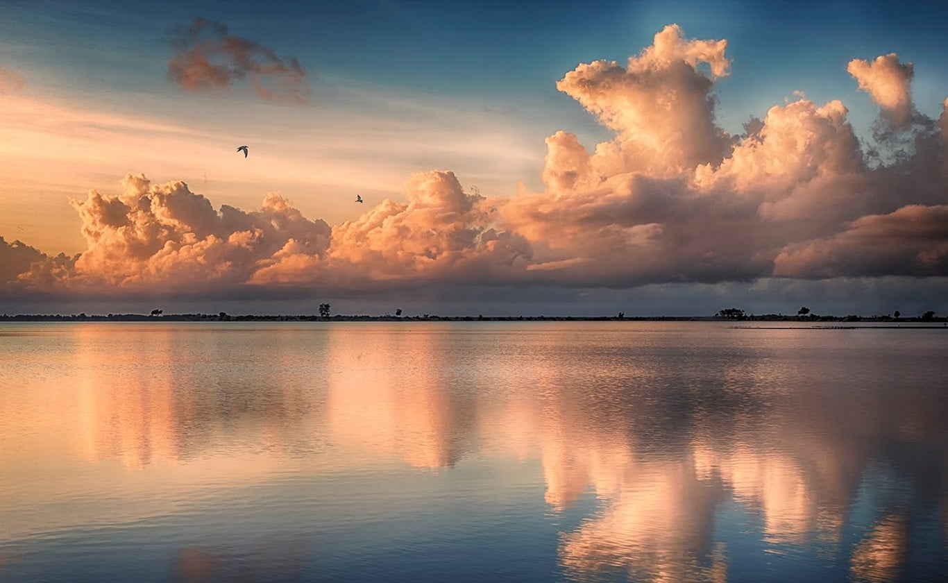 view, tropical, reflection, asymmetrical, flying, tranquility, orange color, birds, body, 720P, sea, waterfront, beach, landscape, outdoors, cloud - sky, HD Wallpaper