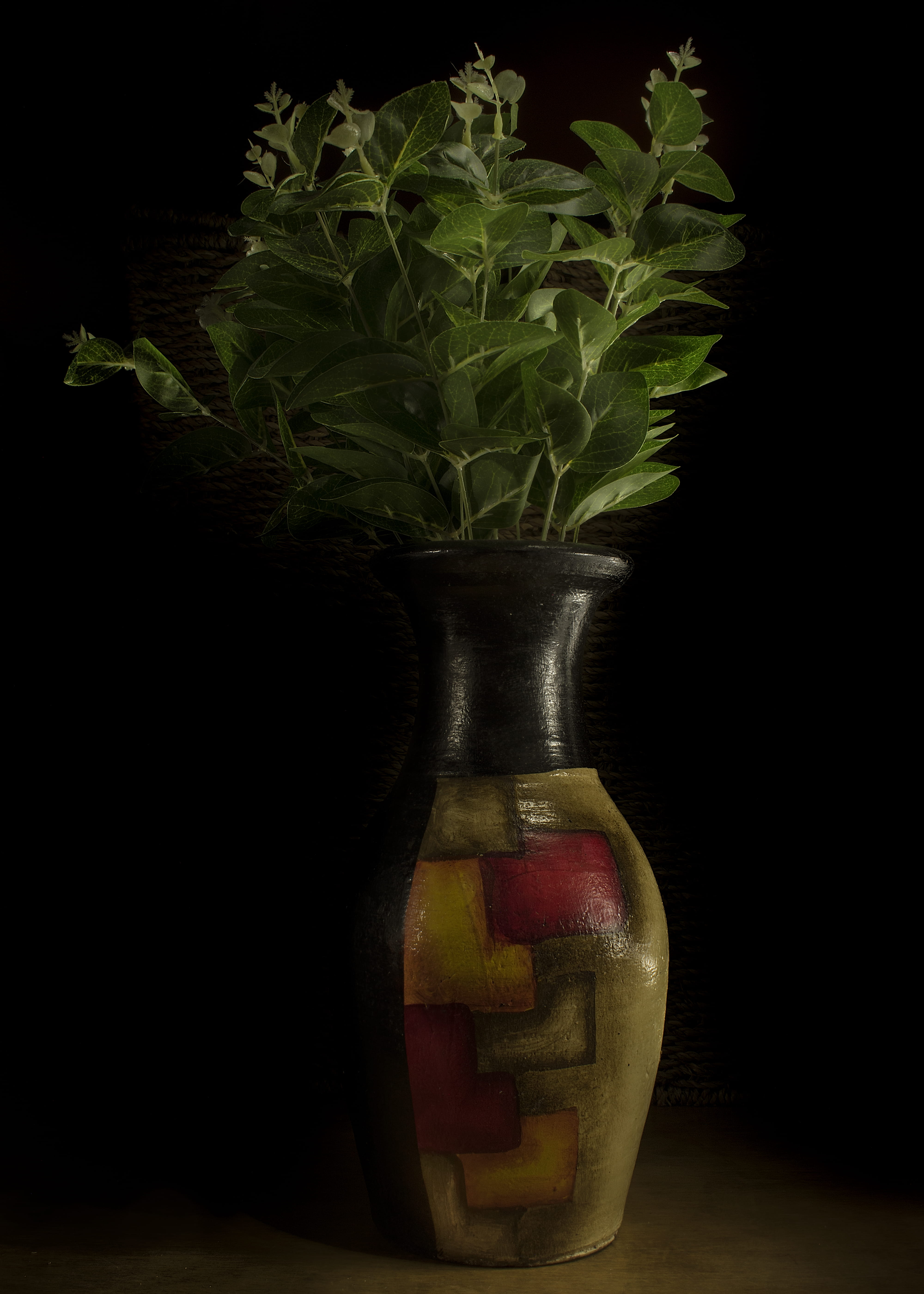 studio shot, green color, freshness, still life, leaf, herb, container, indoors, vegetable, food, black background, bahía blanca, table, vase, no people, Phone HD Wallpaper