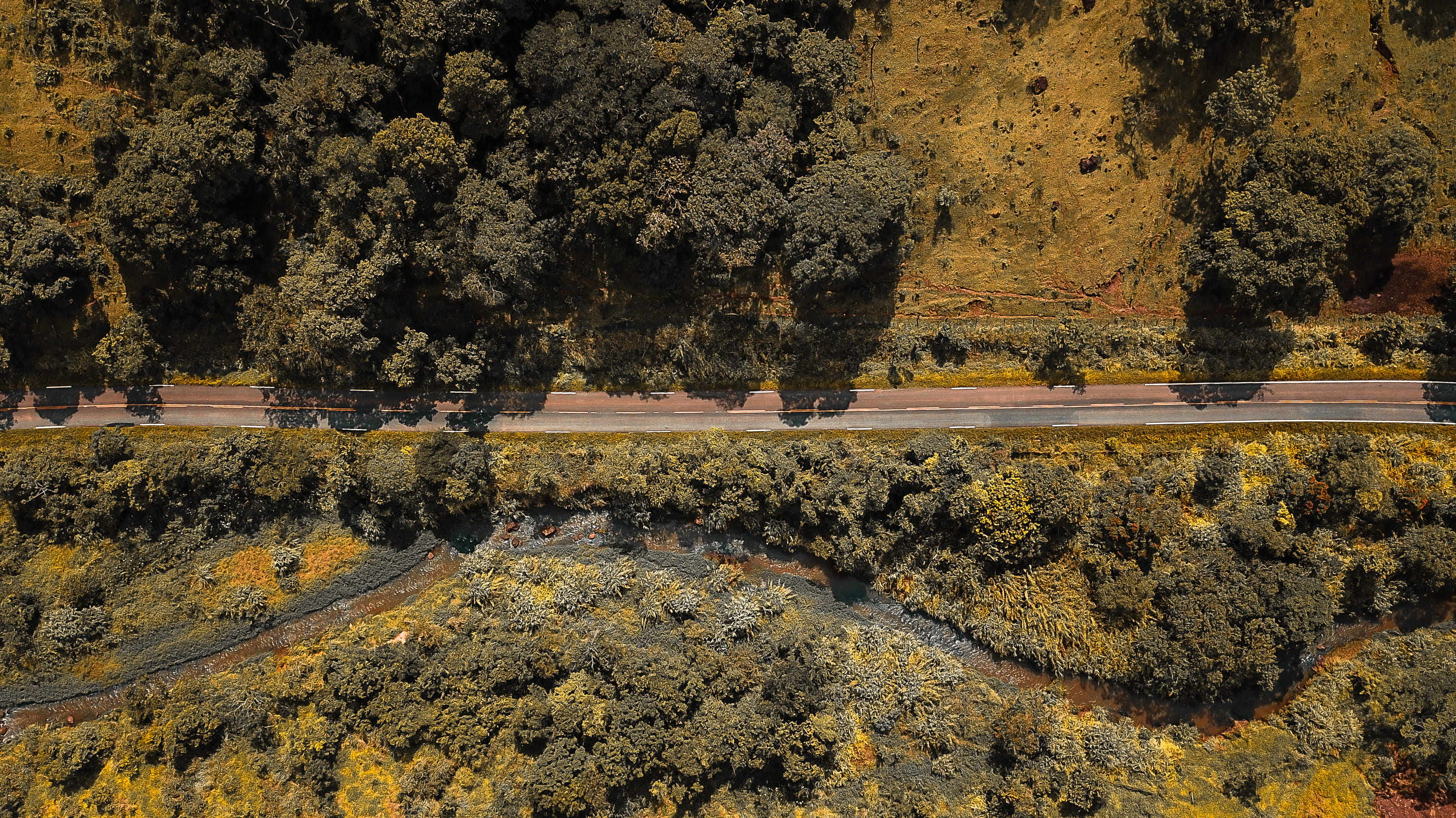 road, high angle view, autumn, landscape, nature, no people, day, ground, water, idyllic, sunlight, outdoors, growth, beside, vegetation, rod. josé pereira da silva, HD Wallpaper