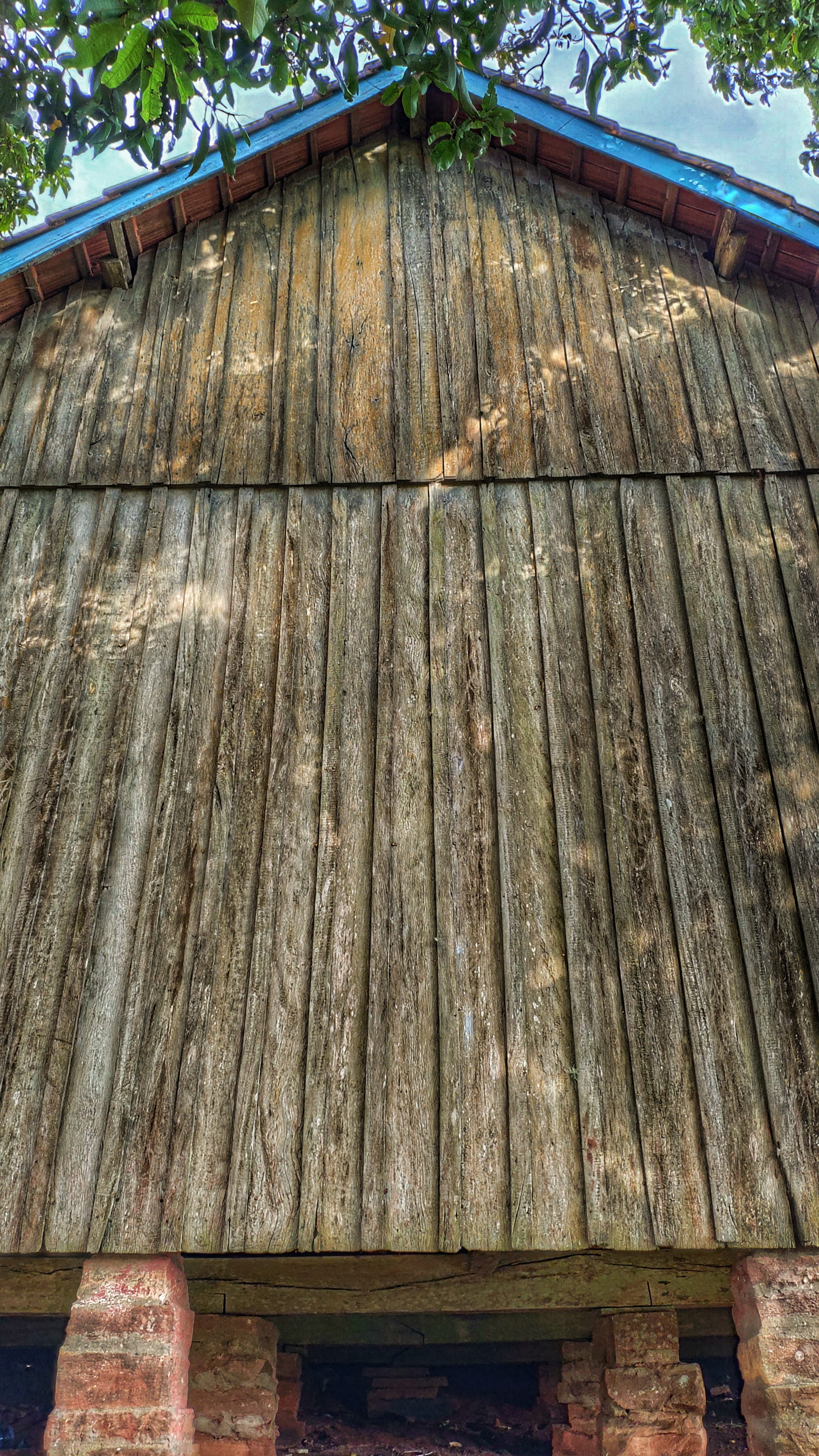 brazil, boardwalk, 4K, day, hut, roof beam, built structure, wood - material, lumber, sliced, deck, thatched roof, building, tar, old, growth, house, tree, Phone HD Wallpaper