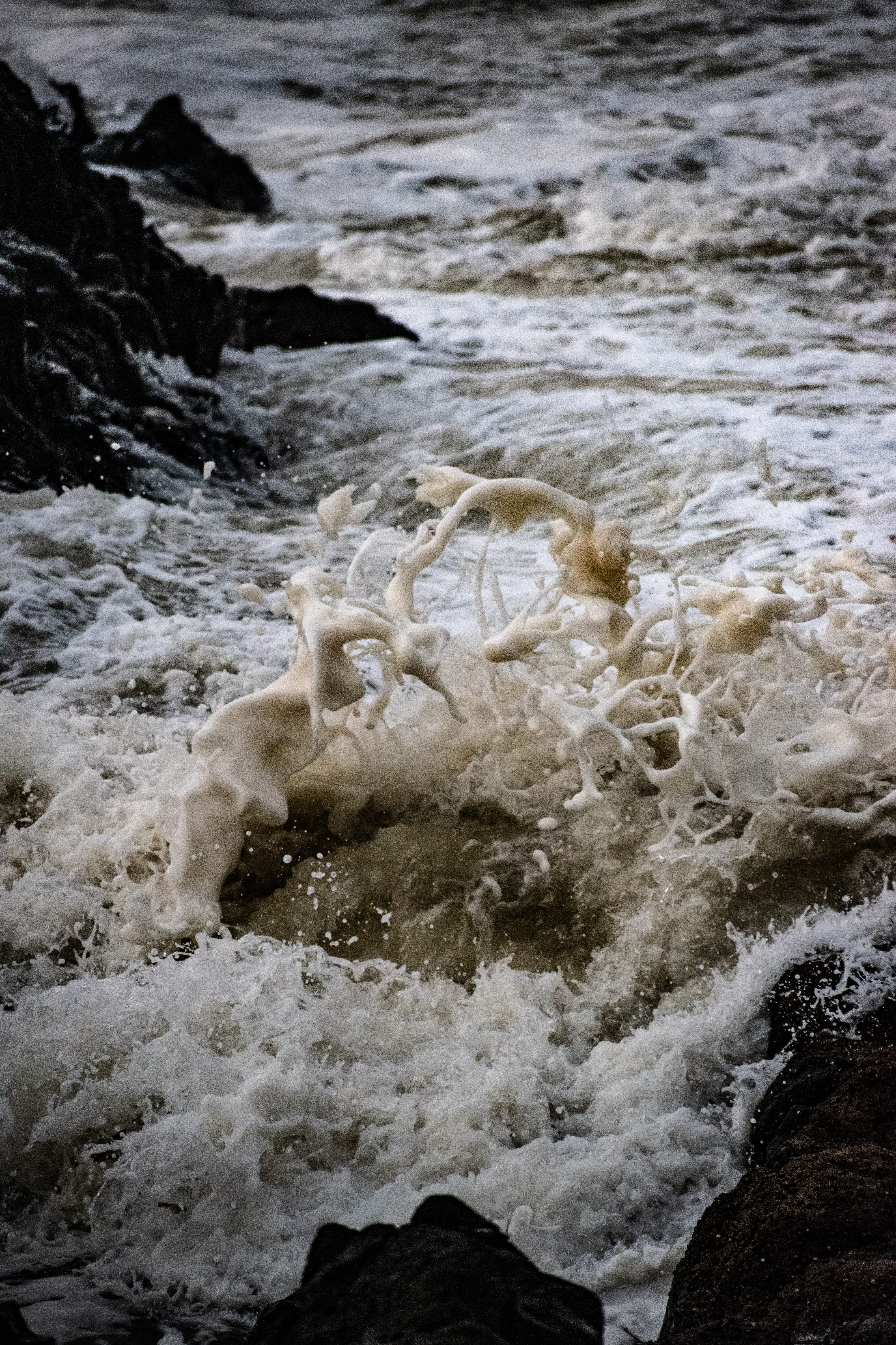 outdoors, waves, water, wave, splashing, limestone, rock - object, animal, basin, beauty in nature, animal themes, motion, river, 5K, aquatic sport, mud, Phone HD Wallpaper