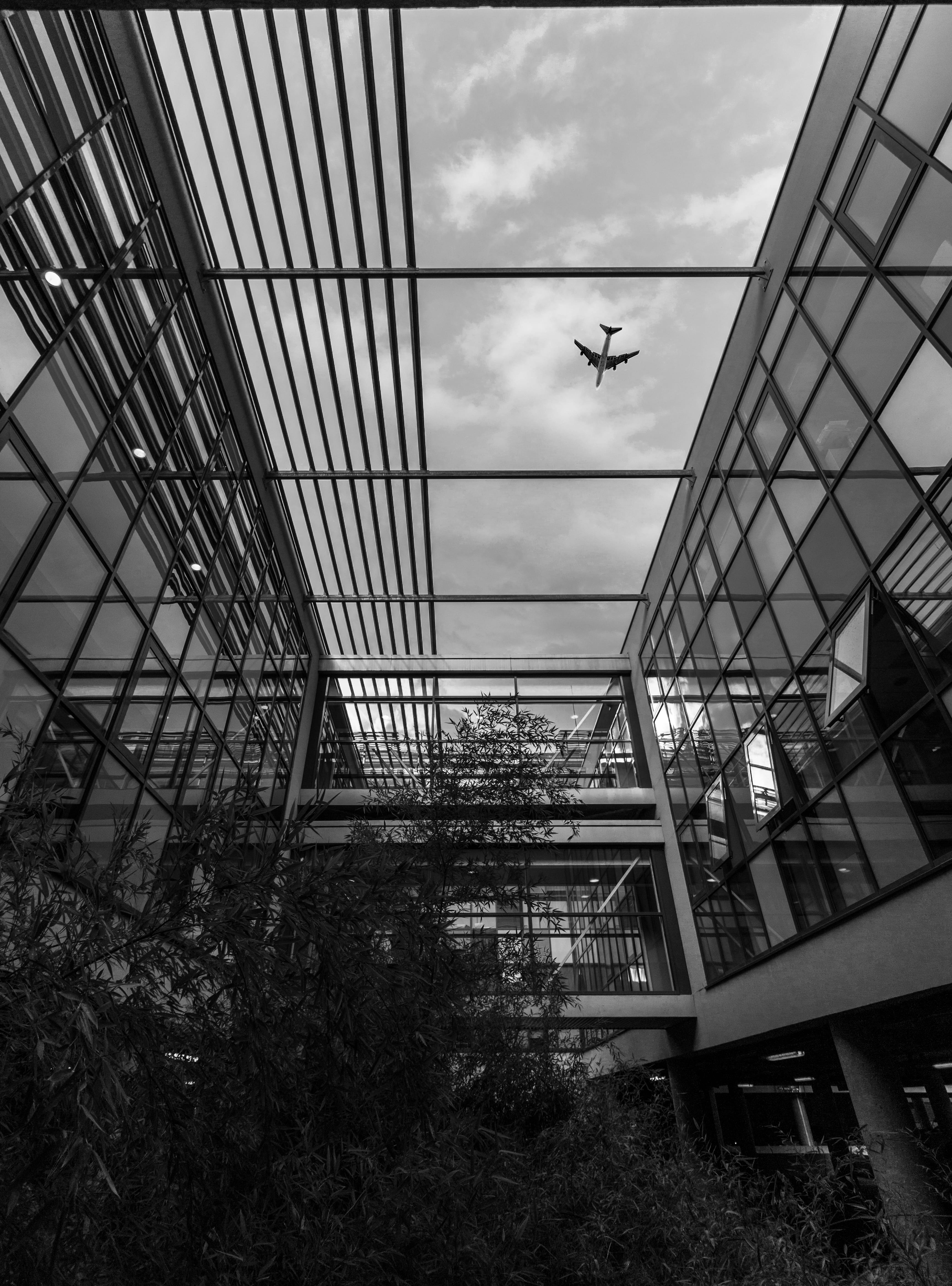 glass - material, cloud - sky, transparent, sky, plant, built structure, avion, architecture, outdoors, low angle view, géométrie, fly, mid-air, airplane, Phone HD Wallpaper