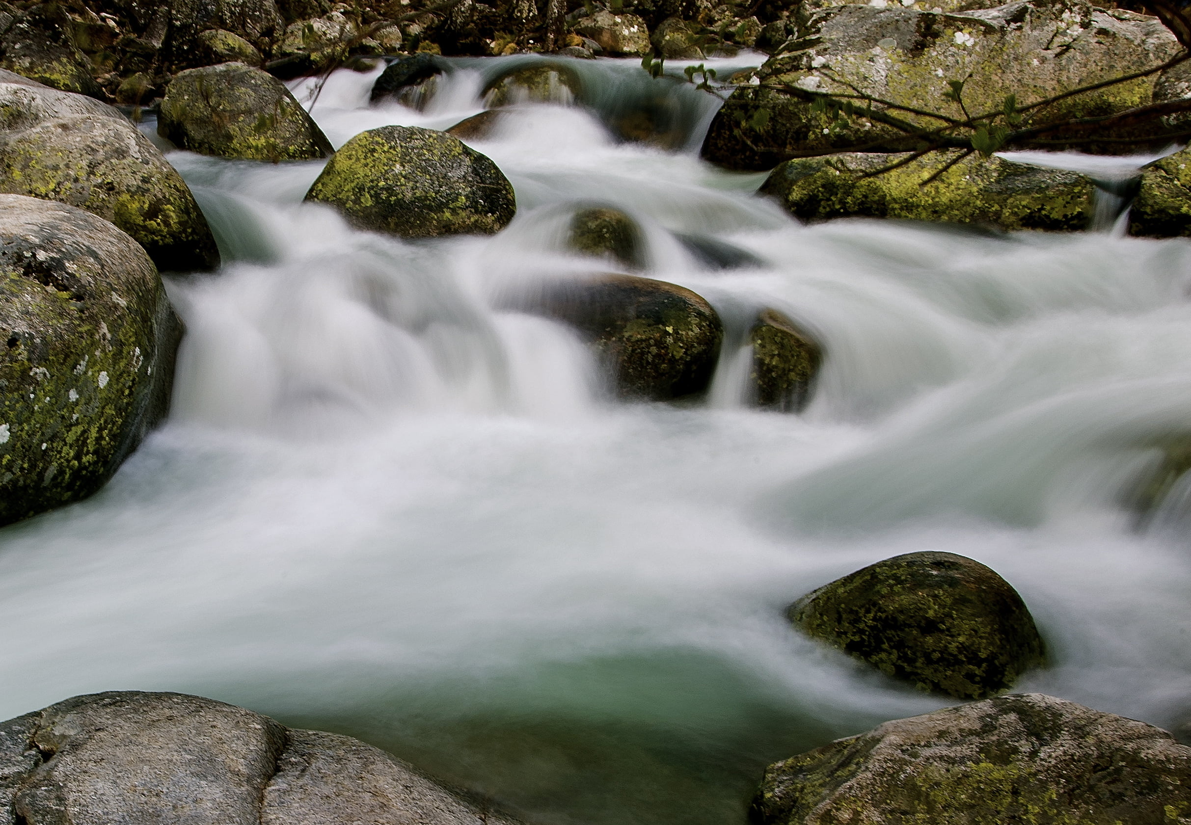 Cáceres, freshness, libre, XII, outdoors, stream, river, forest, Running, rock, flowing Water, Wild Water, rock - Object, moss, scenics, photo, nature, HD Wallpaper