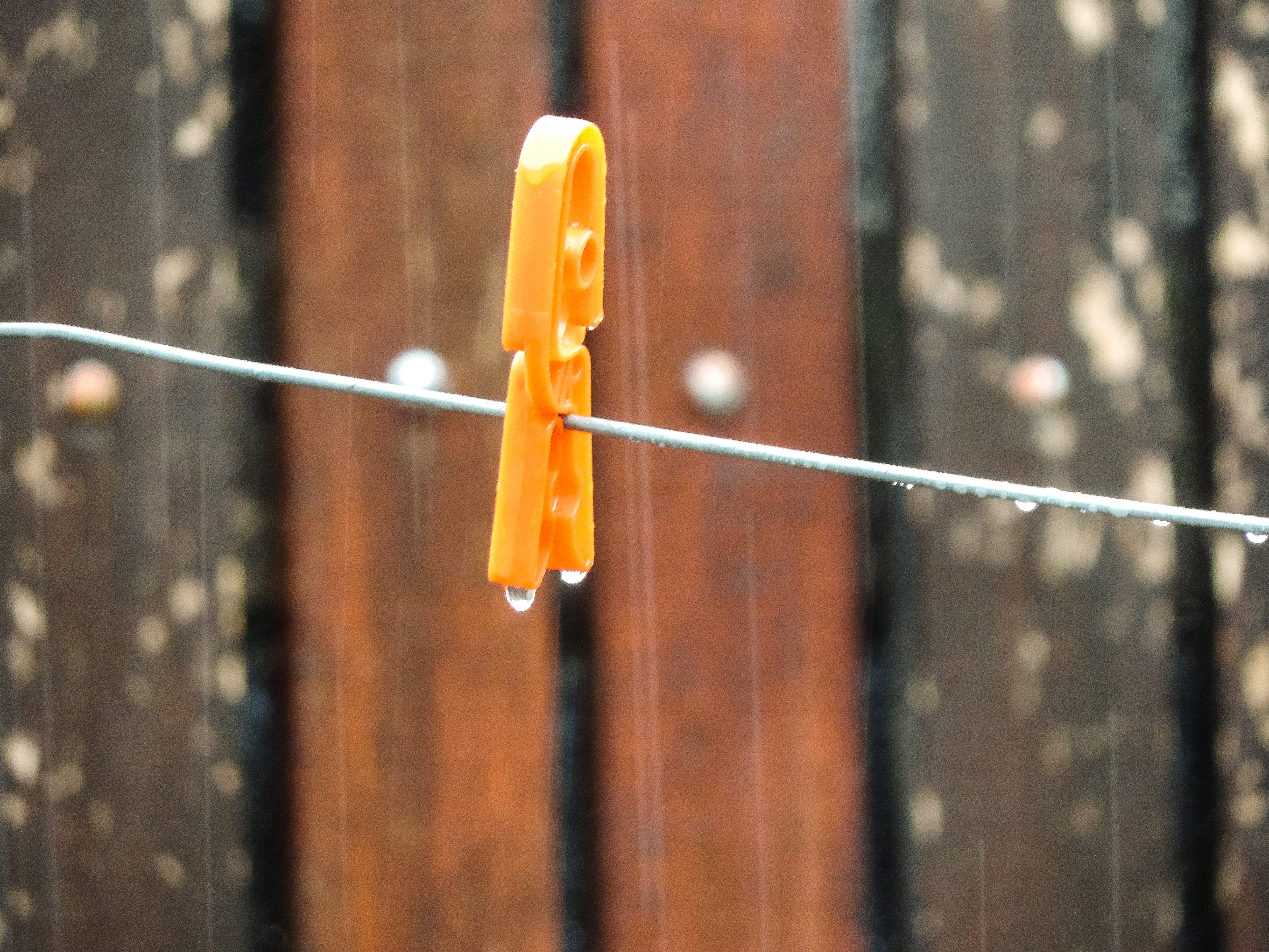 clothespin, day, bird feeder, transparent, orange color, naranja, hanging, gecko, brooch, tender, lizard, clothesline, architecture, madera, city, animal, HD Wallpaper